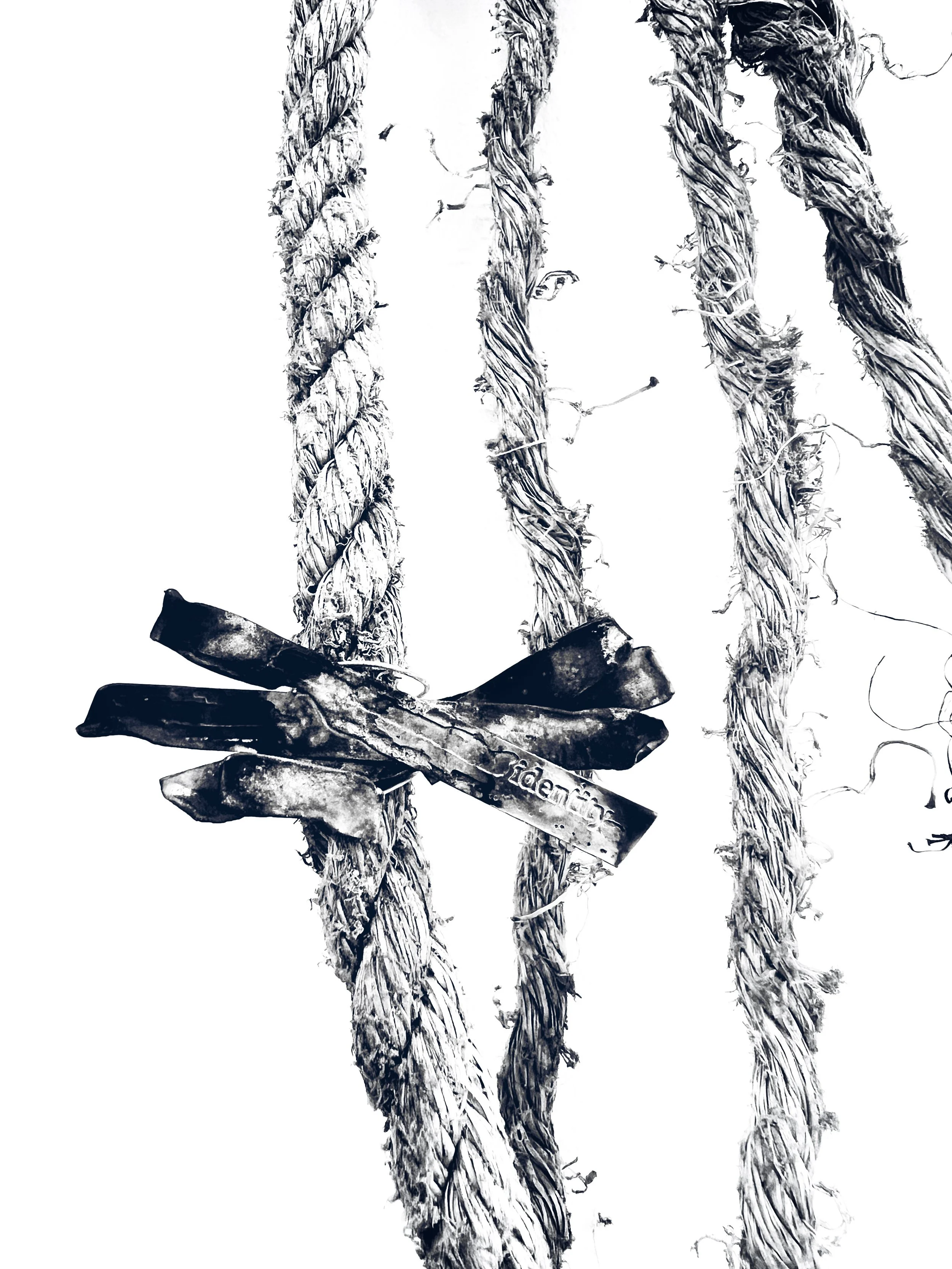 DA7DD432-C5D7-4A02-A32A-CEF244B043EC.JPEG