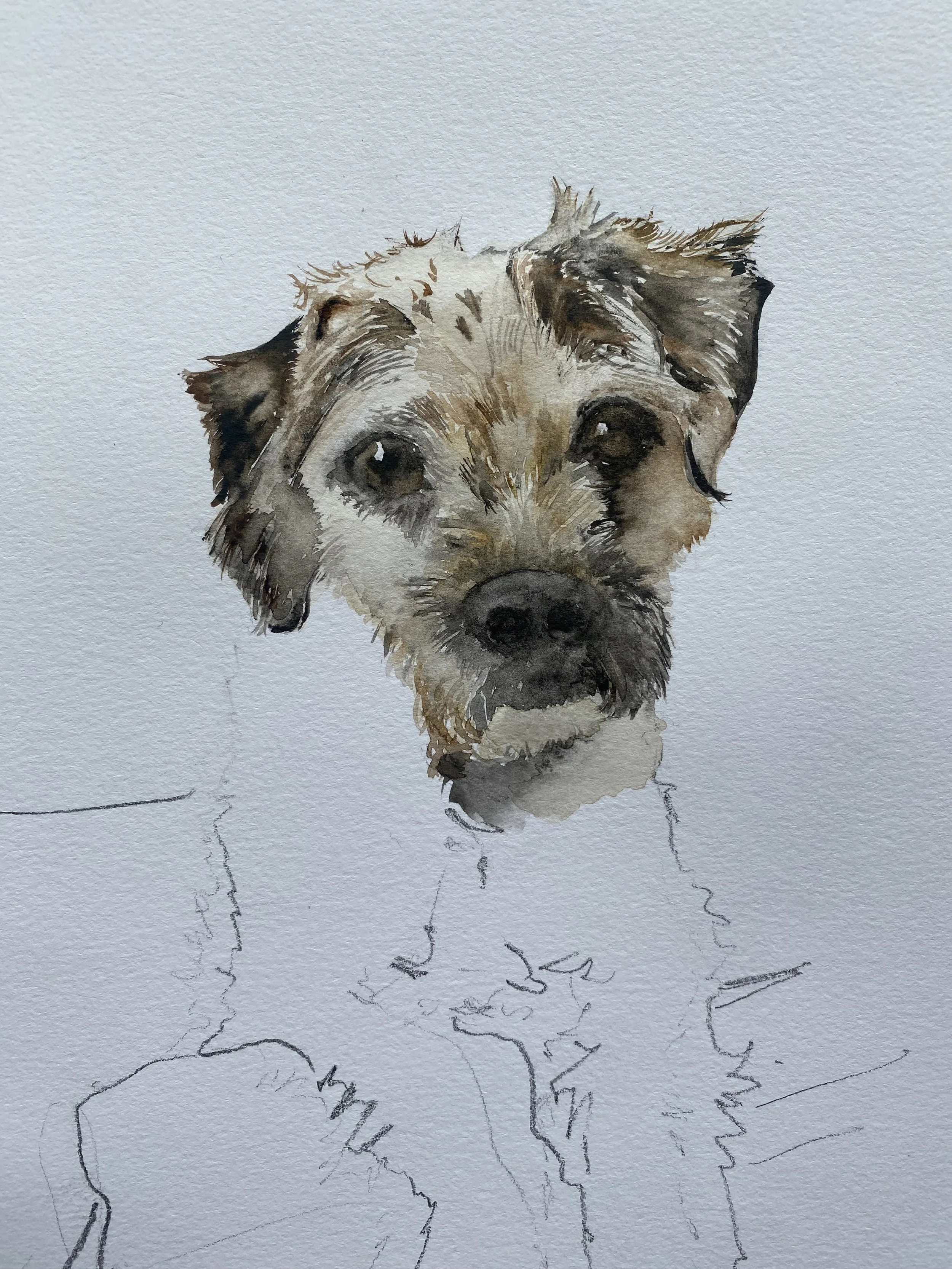Watercolor painting of a dog with detailed facial features, using brown, gray, and black shades, on textured paper.