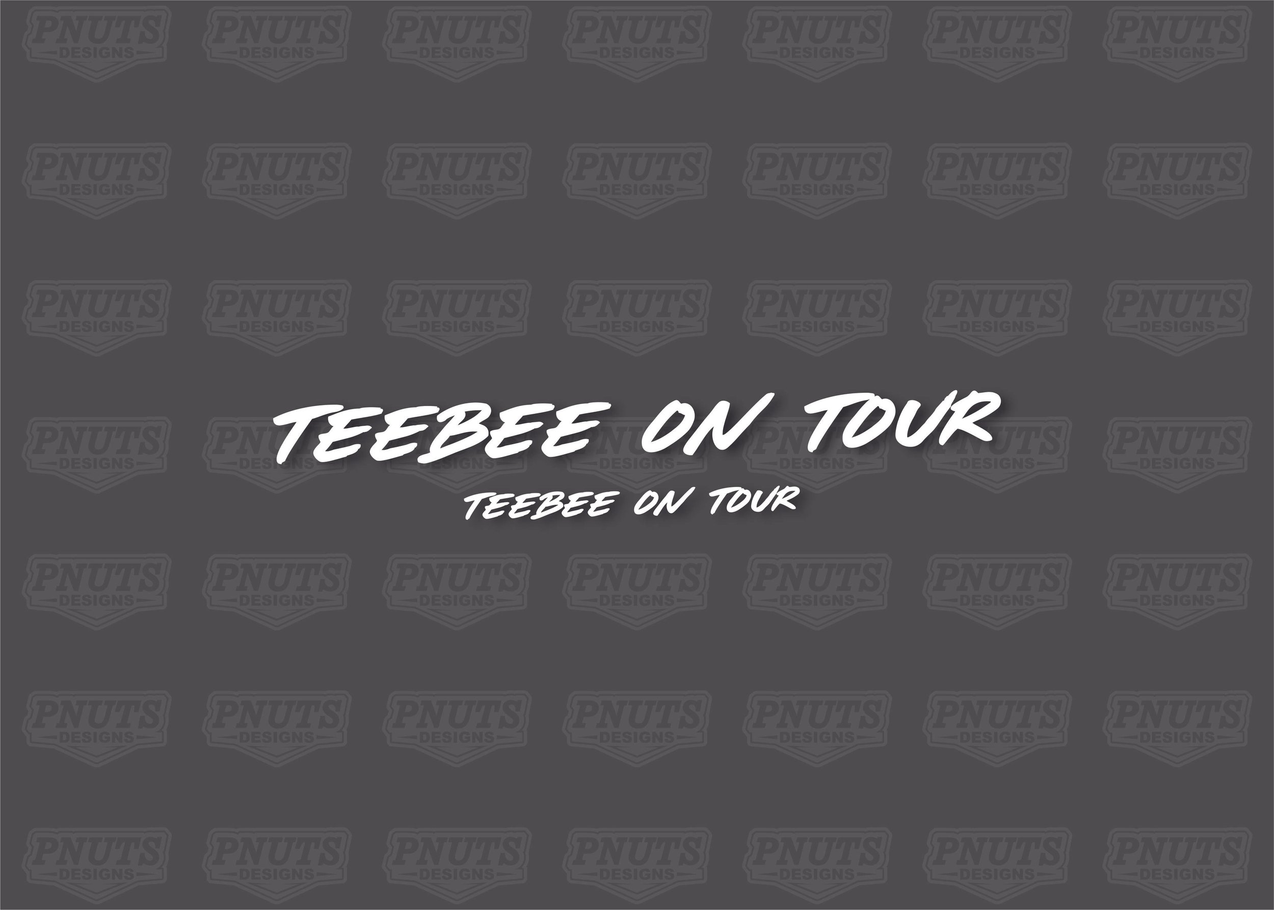 TEEBEE ON TOUR