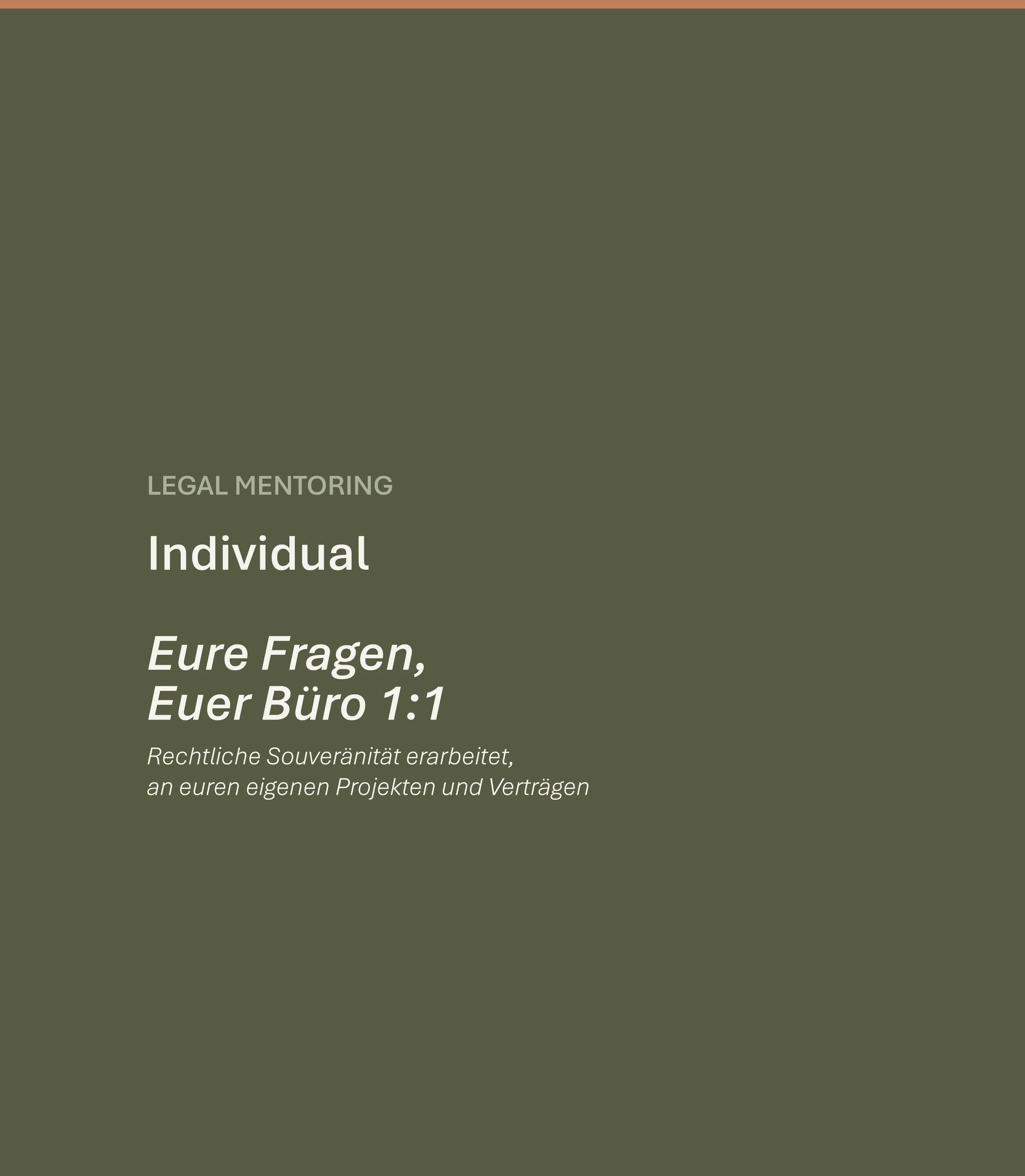 Legal Mentoring Individual