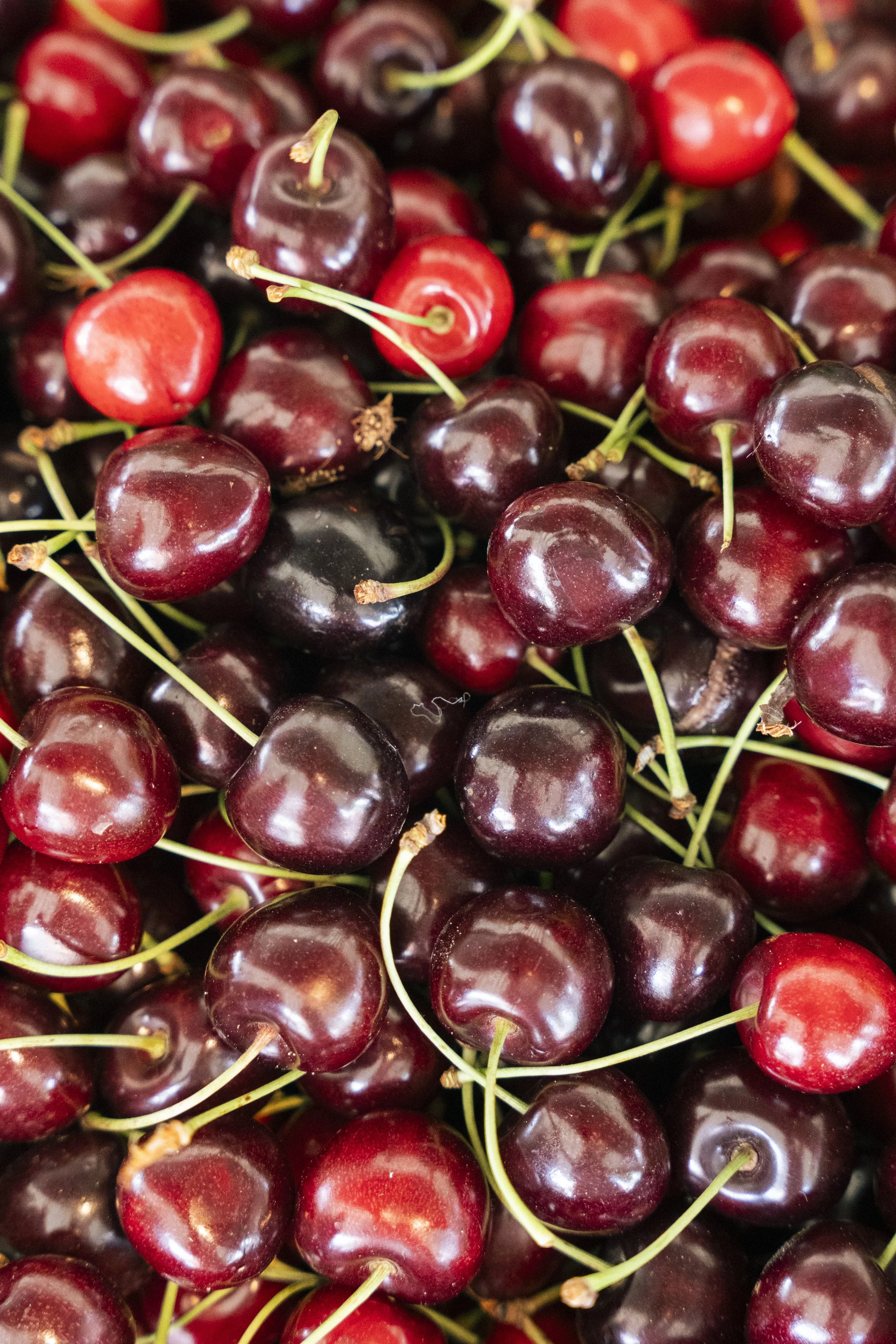 Een close-up van veel rijpe kersen, sommige rood, andere donker rood, met groene stelen.