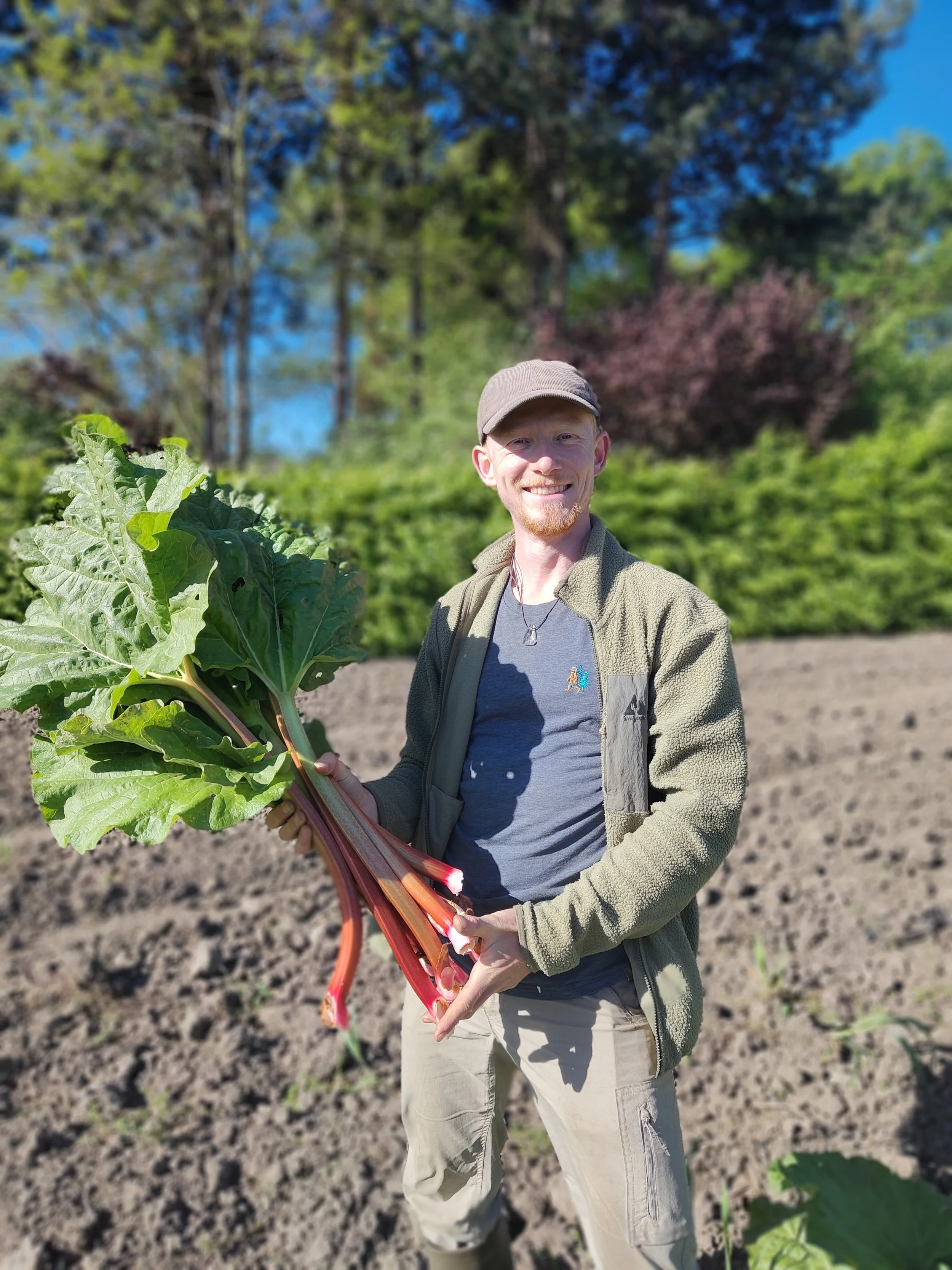 Een man die een grote groene en roze groente vasthoudt, staat in een tuin of op een veld met struiken en bomen op de achtergrond.