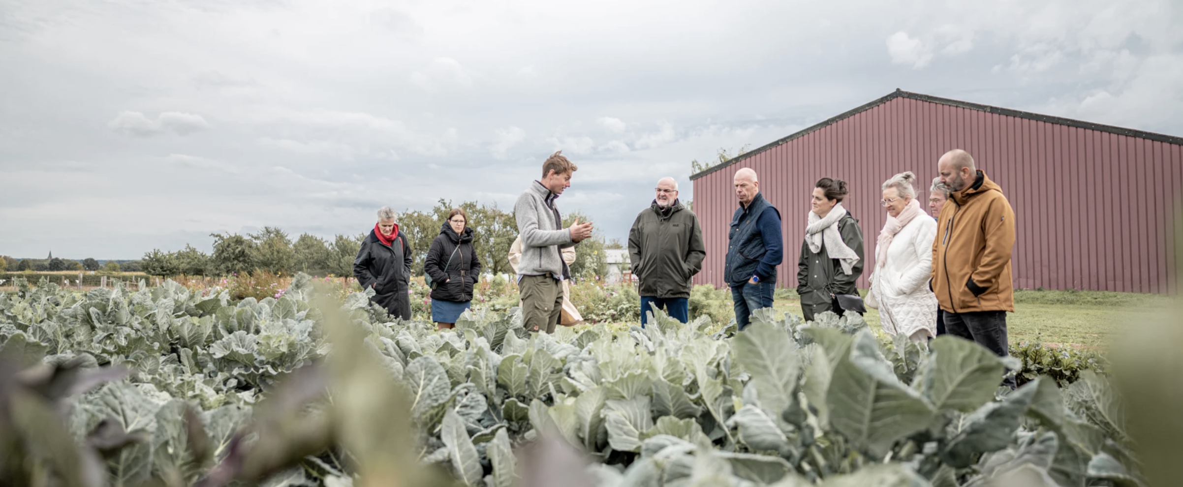 Groep mensen krijgt uitleg over gewassen op een boerderij met een veld van grote groene bladeren en een rood gebouw op de achtergrond.
