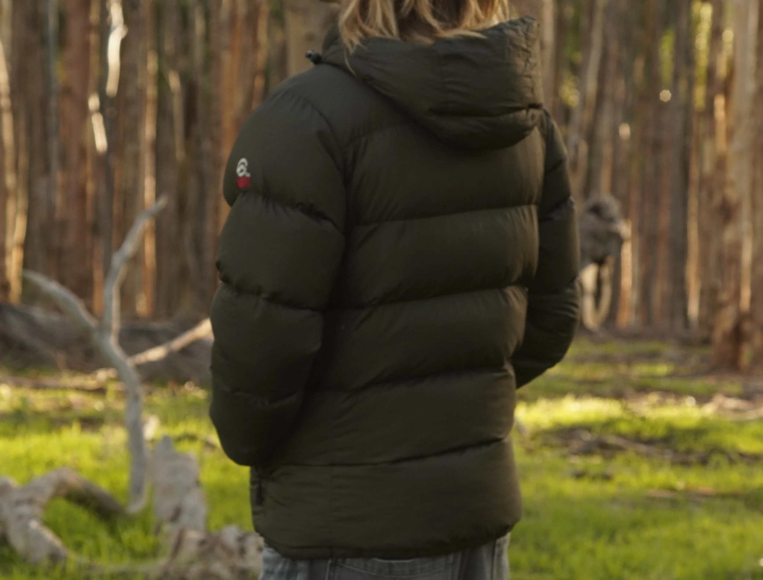 north face closeup 2.JPG