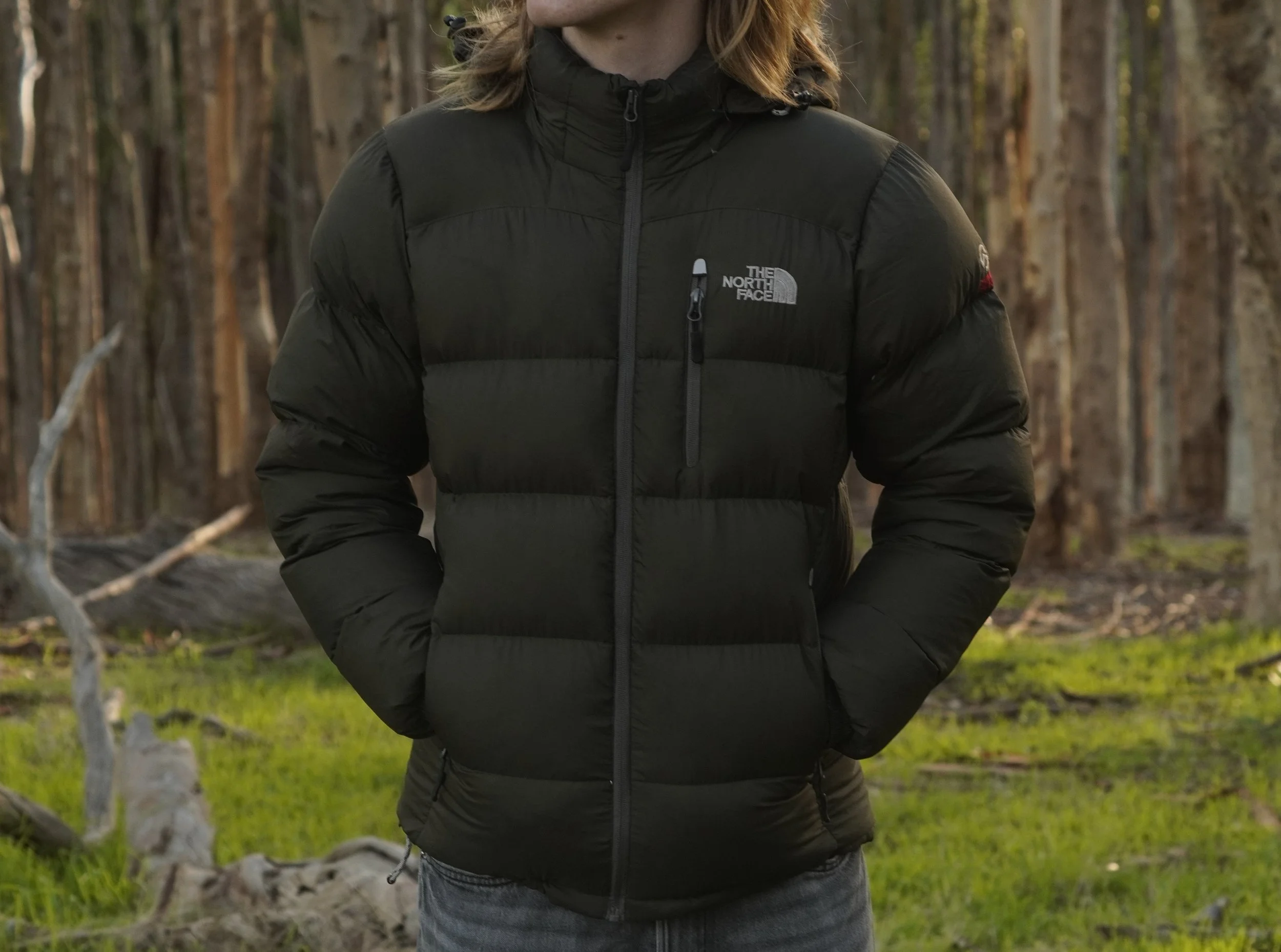north face closeup 3.JPG
