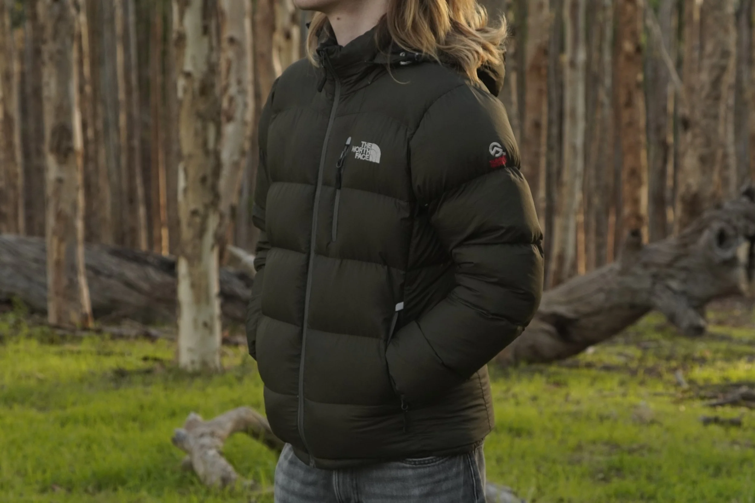 north face closeup 1.JPG