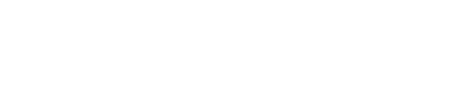 Vallick Inc (Copy)