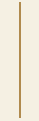 Vertical golden line on a beige background.