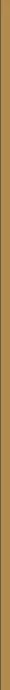 Vertical golden line.