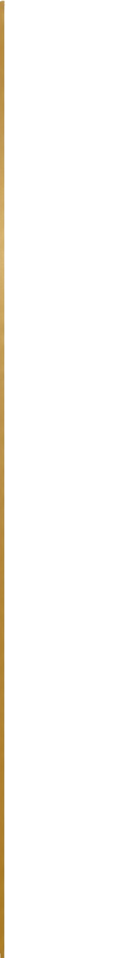 Vertical golden line.