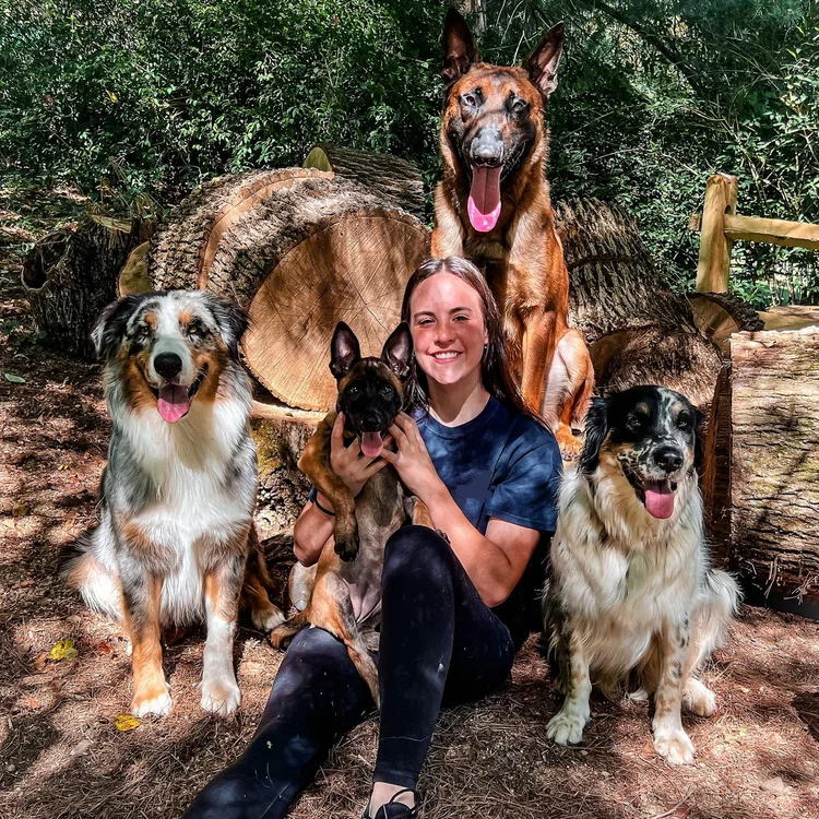 Trainer with dogs in the field