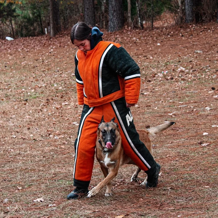 Dog training work