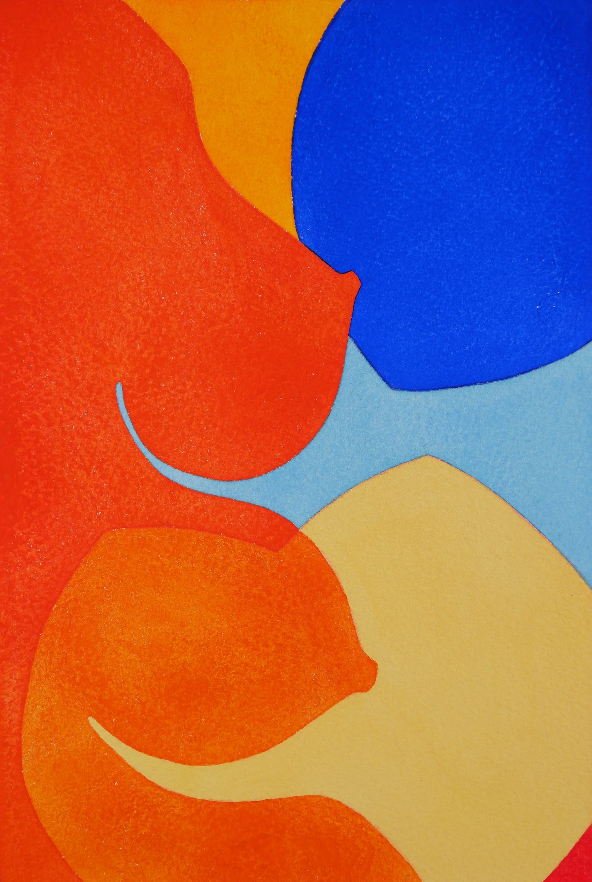 Cercle coloré avec des couleurs vives incluant du orange, du bleu, du rouge et du jaune, formant une composition abstraite.