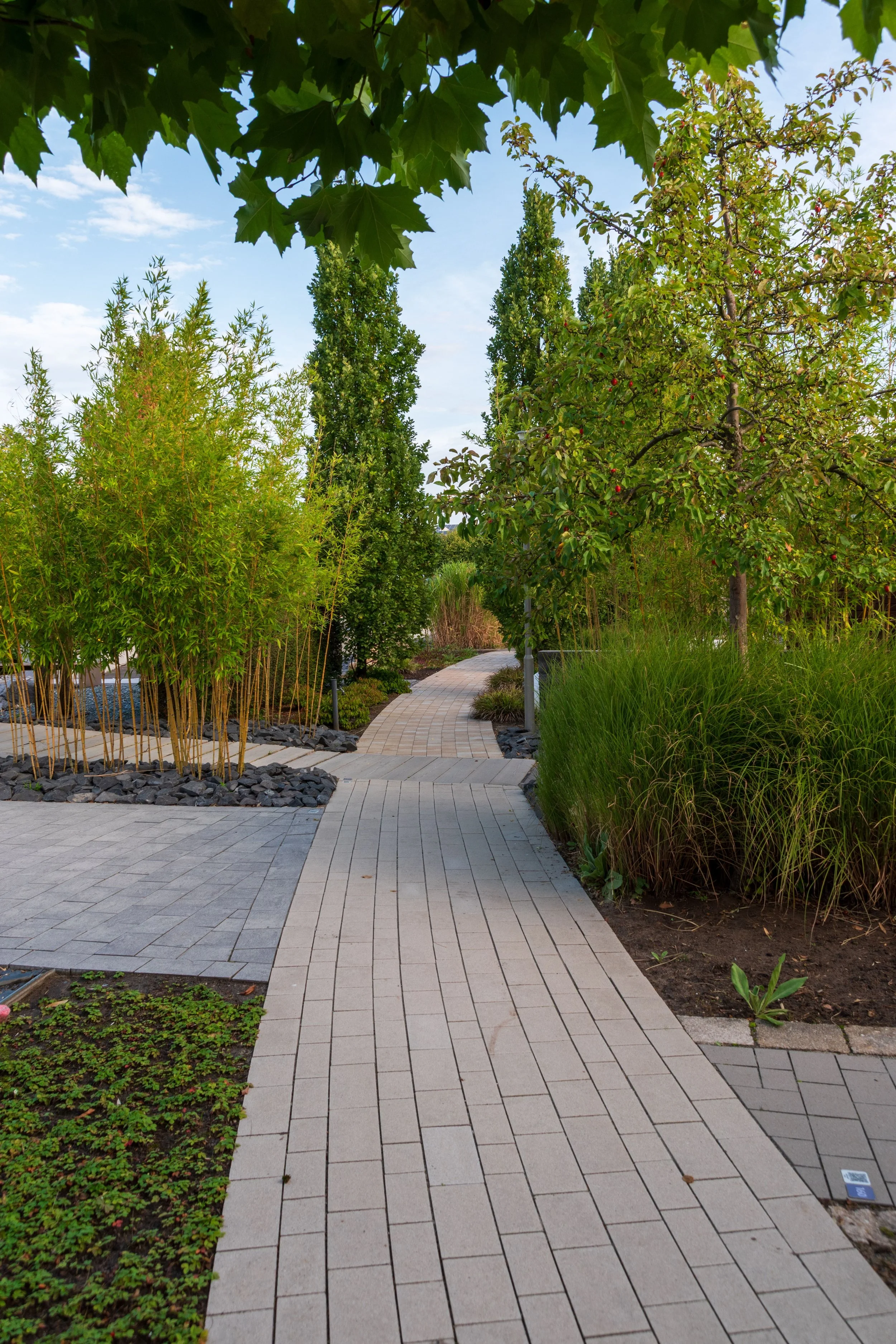 Sentier pavé serpentant à travers un jardin avec diverses plantes et arbres, ciel partiellement nuageux en arrière-plan.