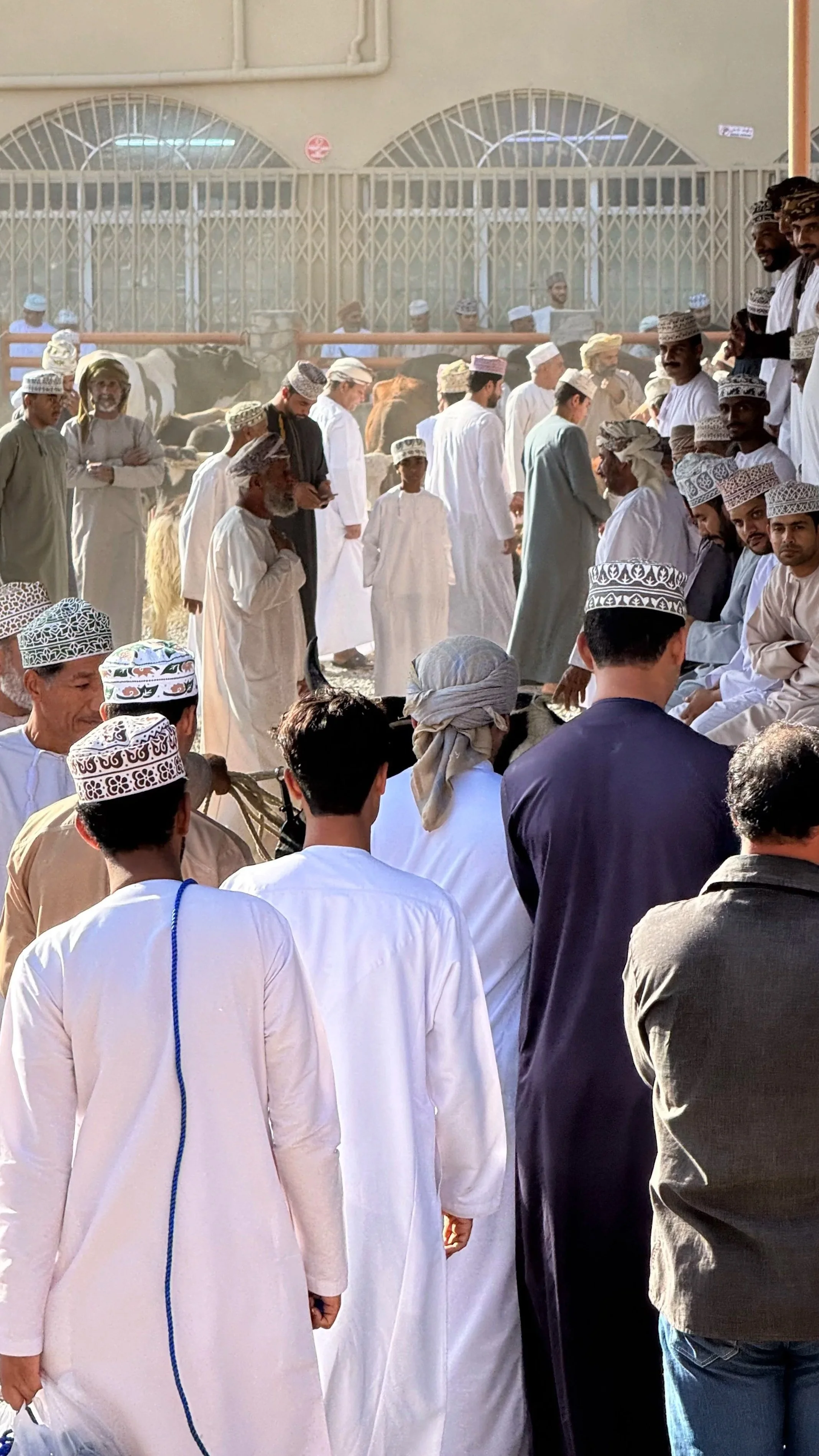 Menschen in traditioneller Kleidung versammeln sich bei einem öffentlichen Ereignis im Freien, mit einigen Tieren im Hintergrund.