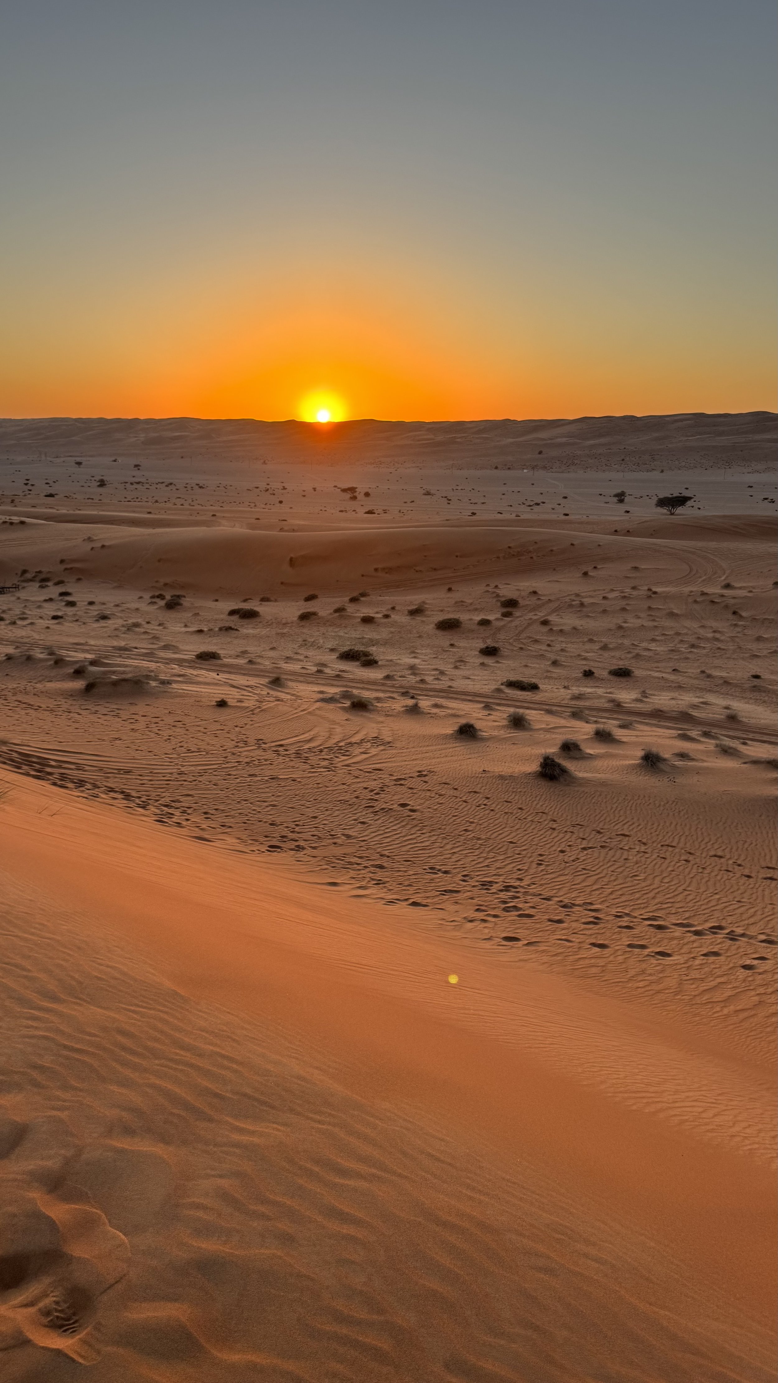 Sonnenuntergang über einer Wüste mit Sanddünen und kleinen Pflanzen, blauer Himmel