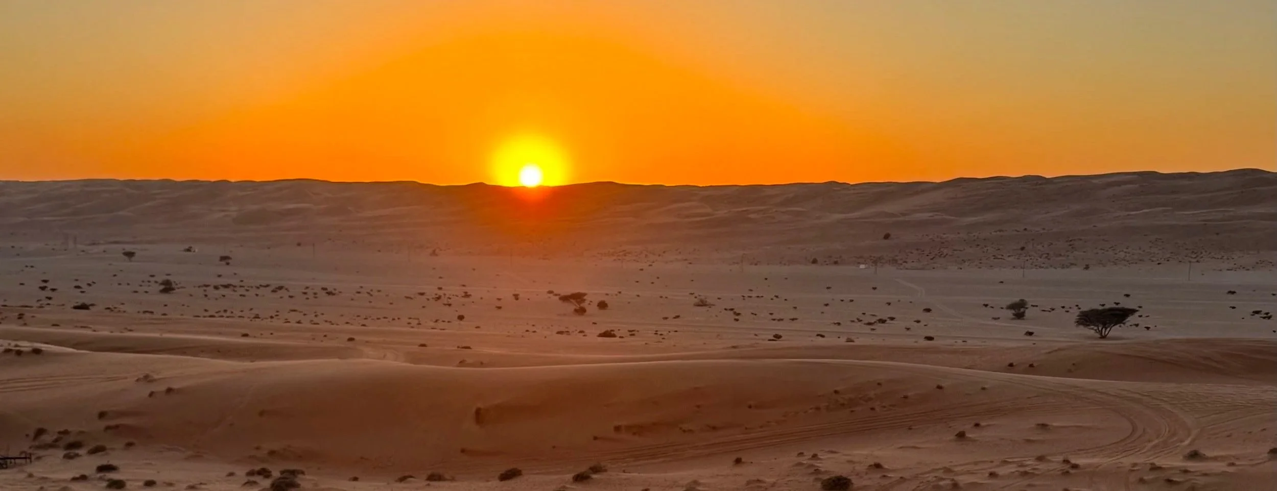 Sonnenuntergang über einer Wüstenlandschaft mit Sanddünen und vereinzelt stehenden Bäumen.