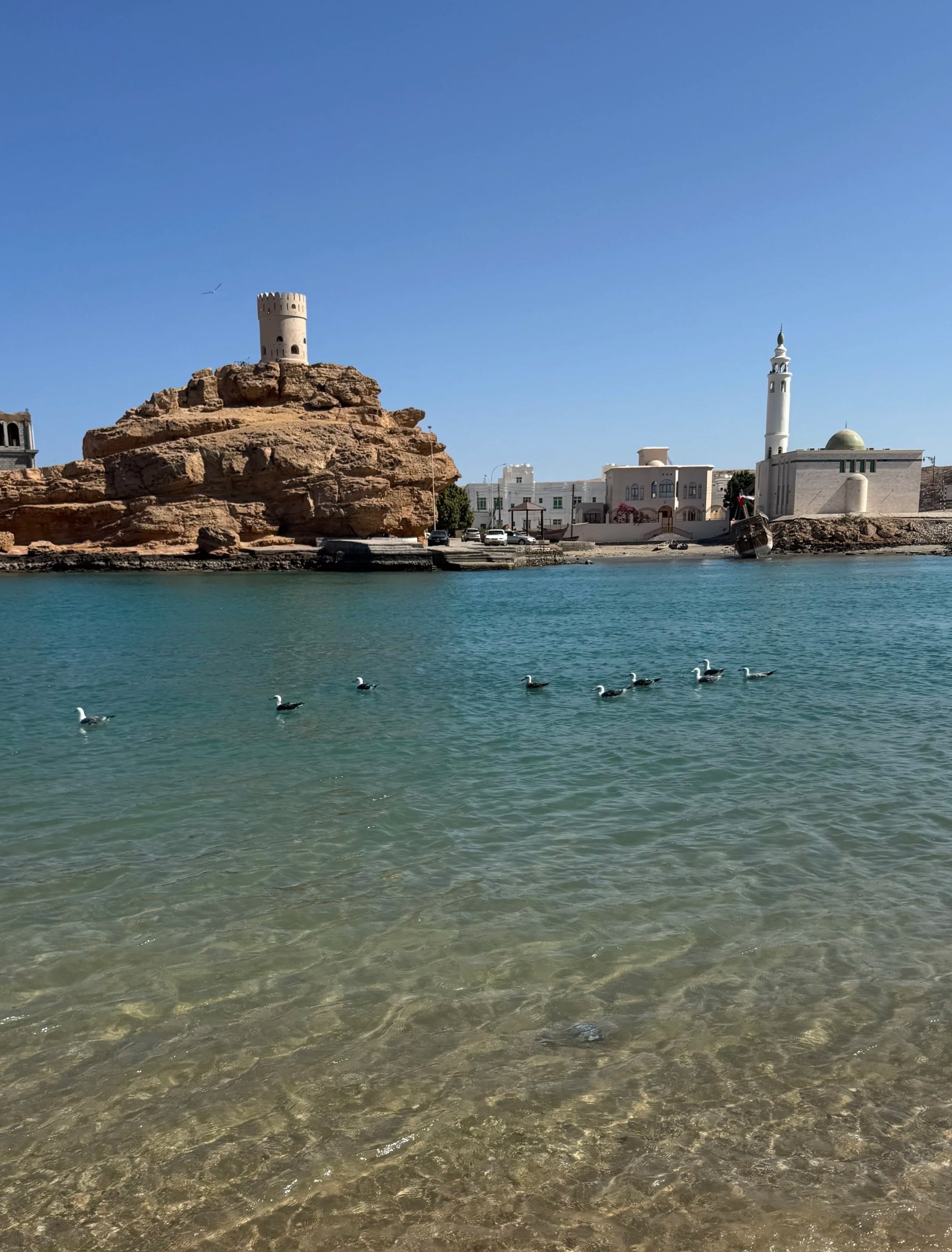 Klares Wasser mit Enten, im Hintergrund eine weiße Moschee und eine alte Festung auf einem Felsen.