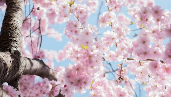 April To-Do Along the Backroads: A Spring Day Trip Guide