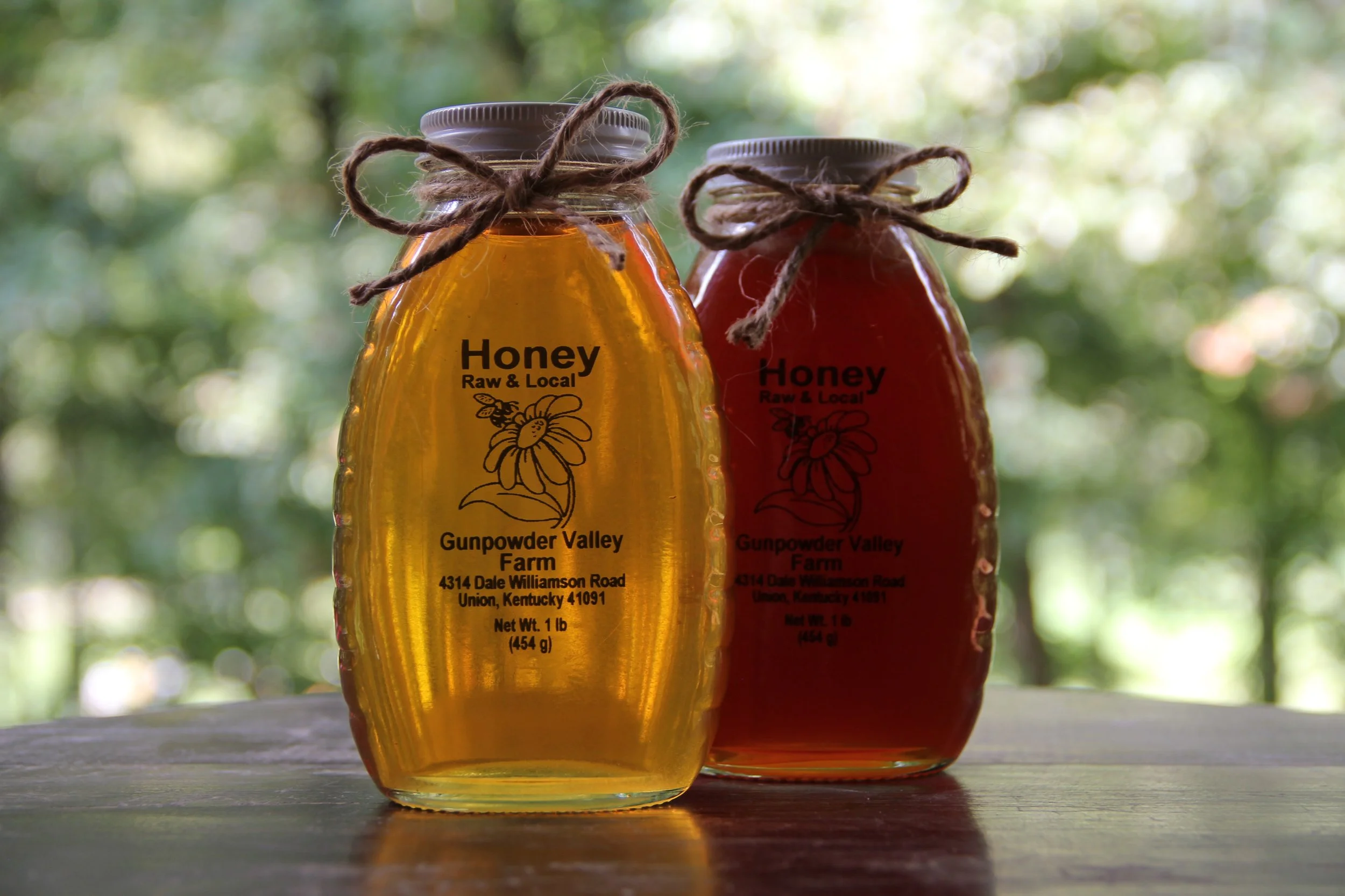 1lb | Liquid Gold Honey