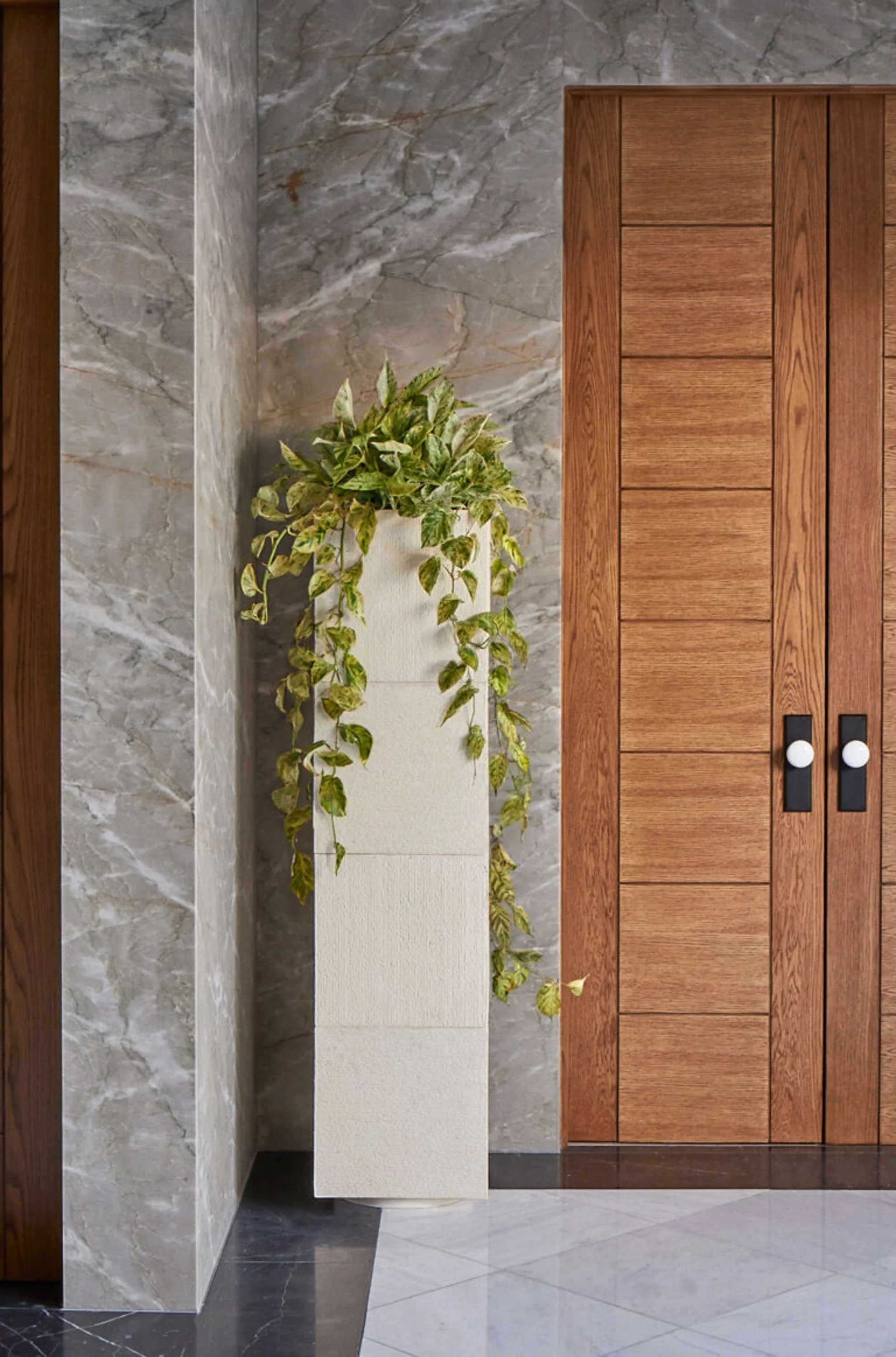 A marble wall and floor, a wooden cabinet with black and white knobs, a white planter with green and yellow variegated leaves.