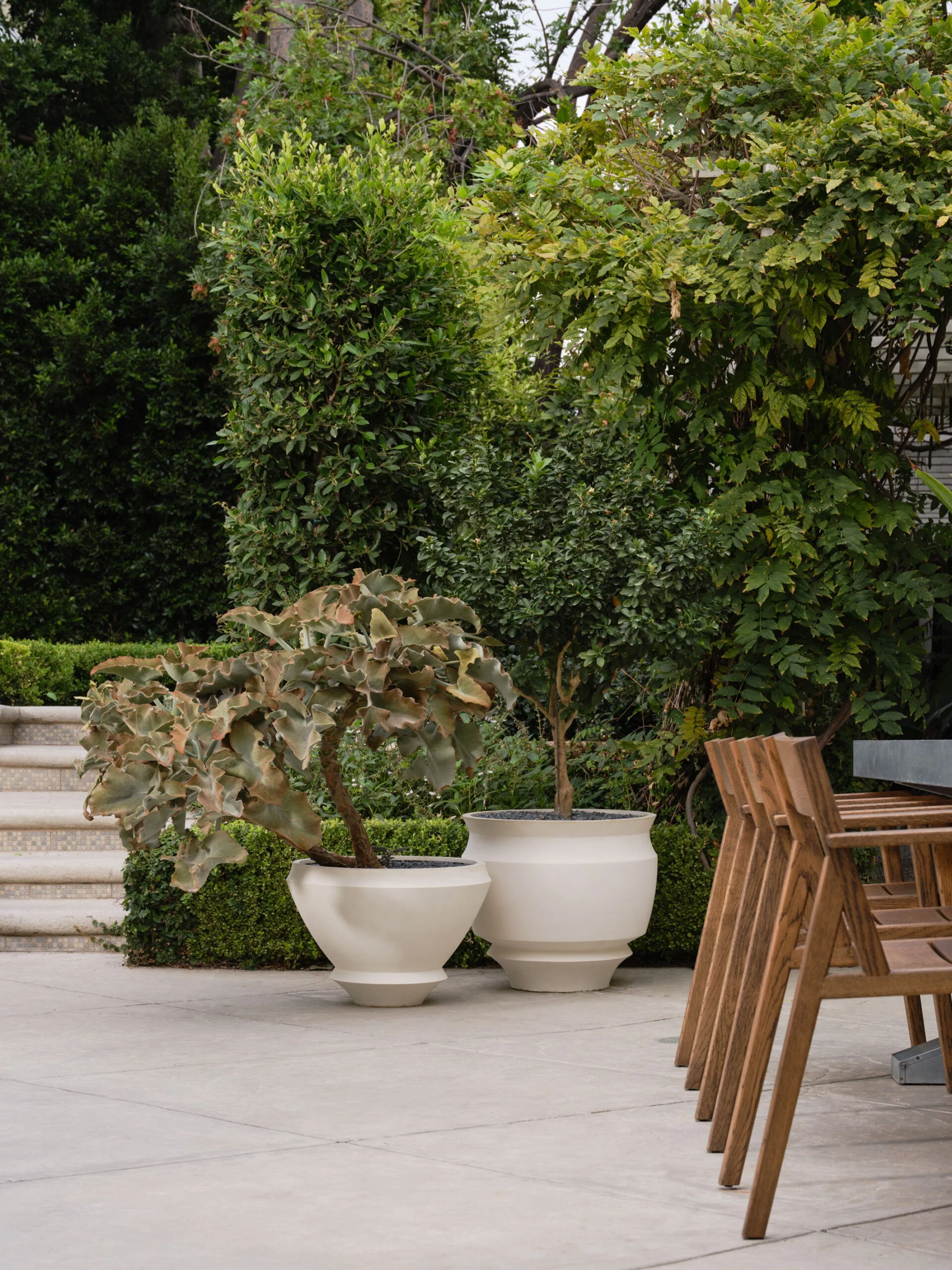 Outdoor patio area with wooden tables and chairs, large potted plants including a small tree and a succulent, greenery in the background, steps on the left side.