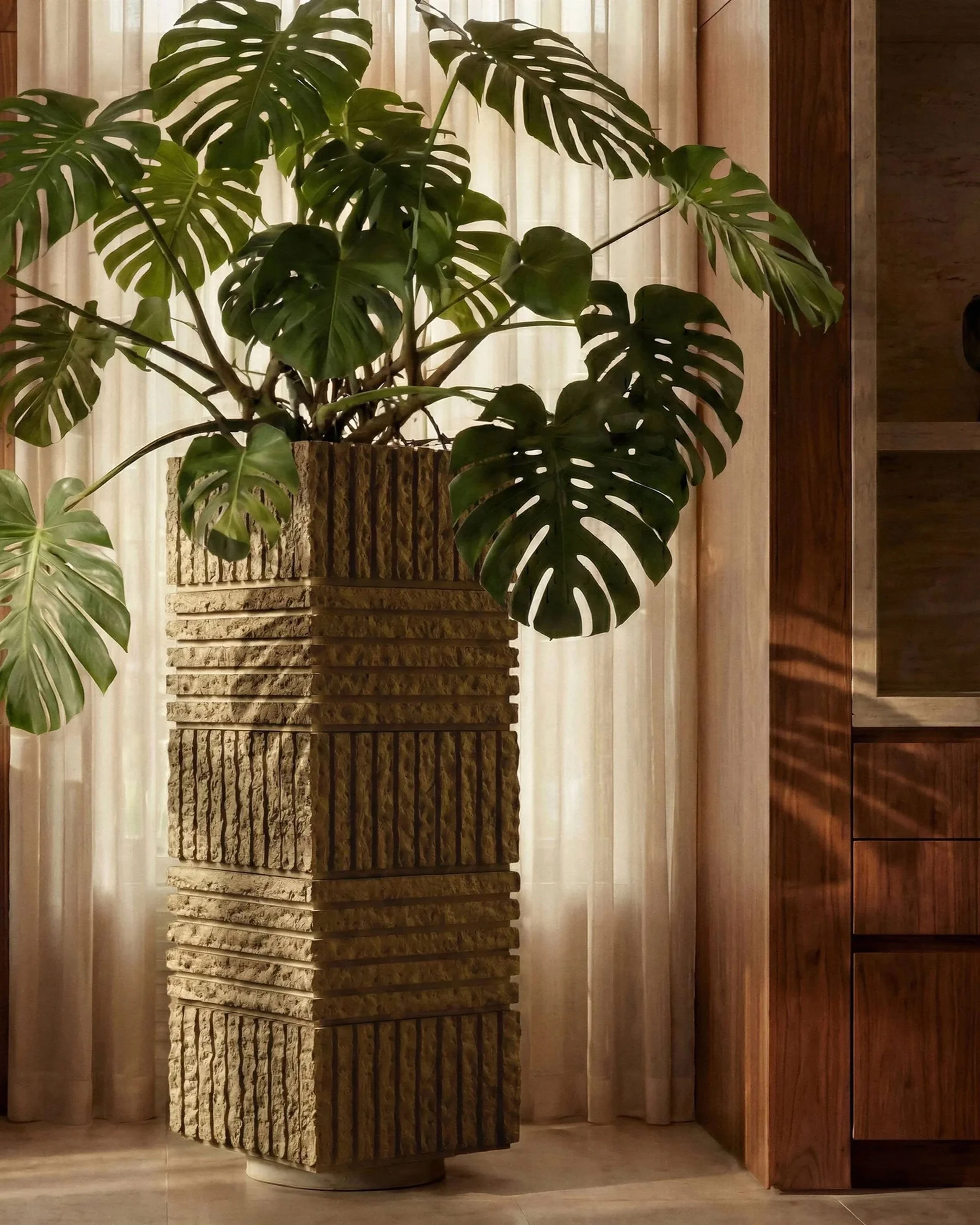A potted Monstera plant with large, split green leaves sitting on a carved wooden stand against a sheer curtain background with wooden furniture to the right.
