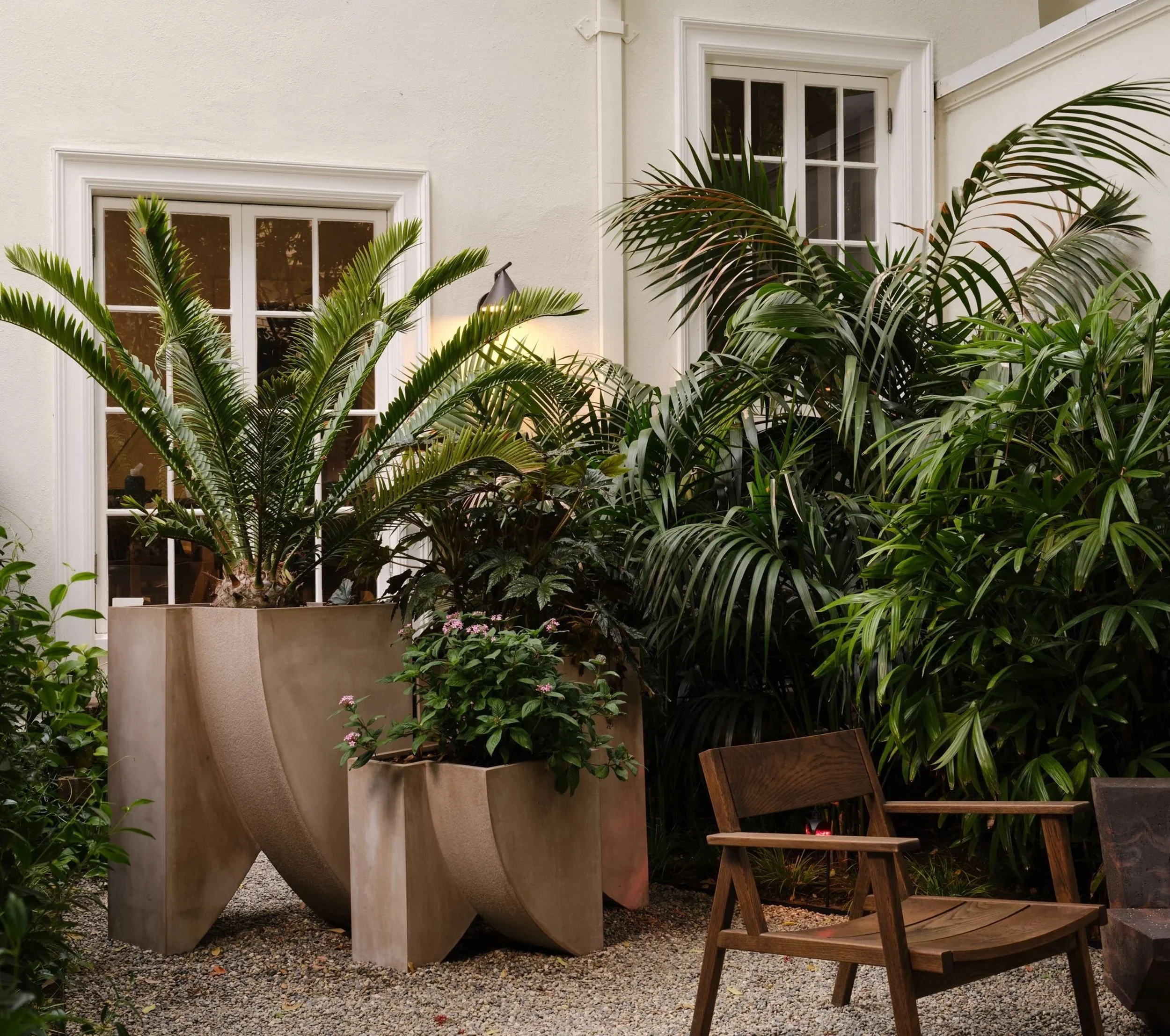 A patio garden with large potted plants, a wooden chair, and a white house wall with two windows, outdoor lighting, and plants.