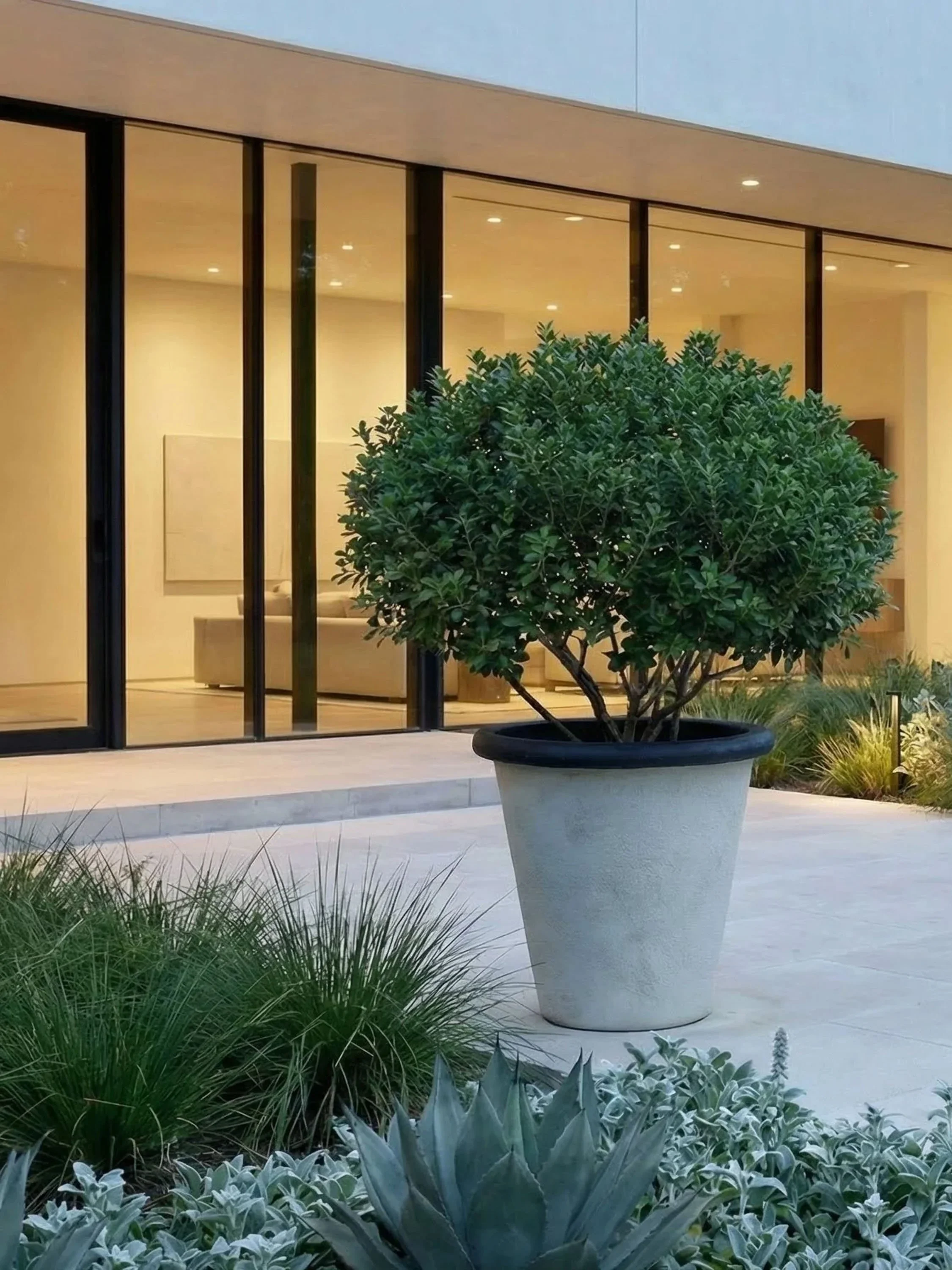 Modern house exterior with large glass windows, a potted green plant, and landscaped garden with various plants.