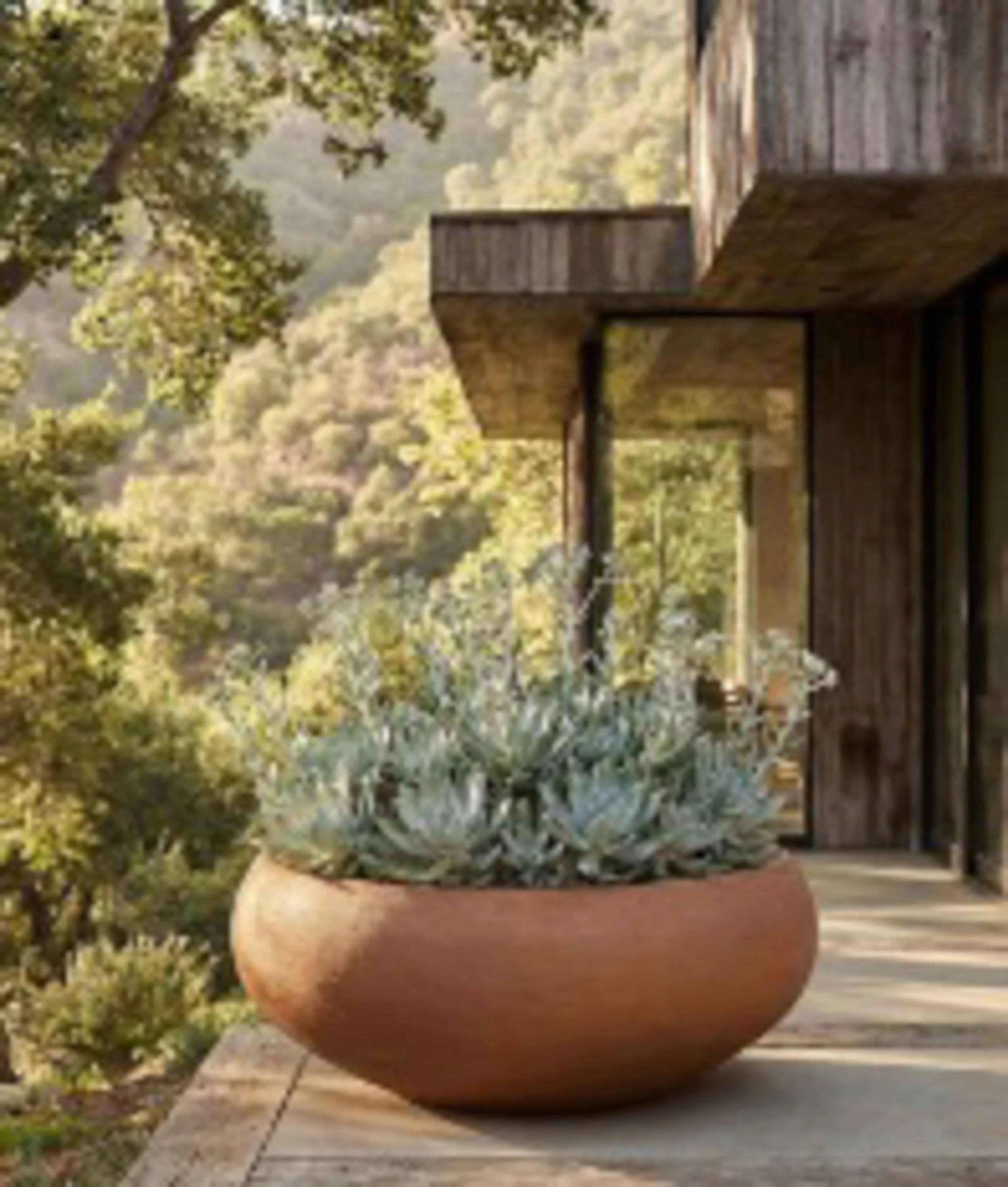 A large brown planter with a green plant inside, placed outdoors on a concrete surface, with trees and foliage in the background.