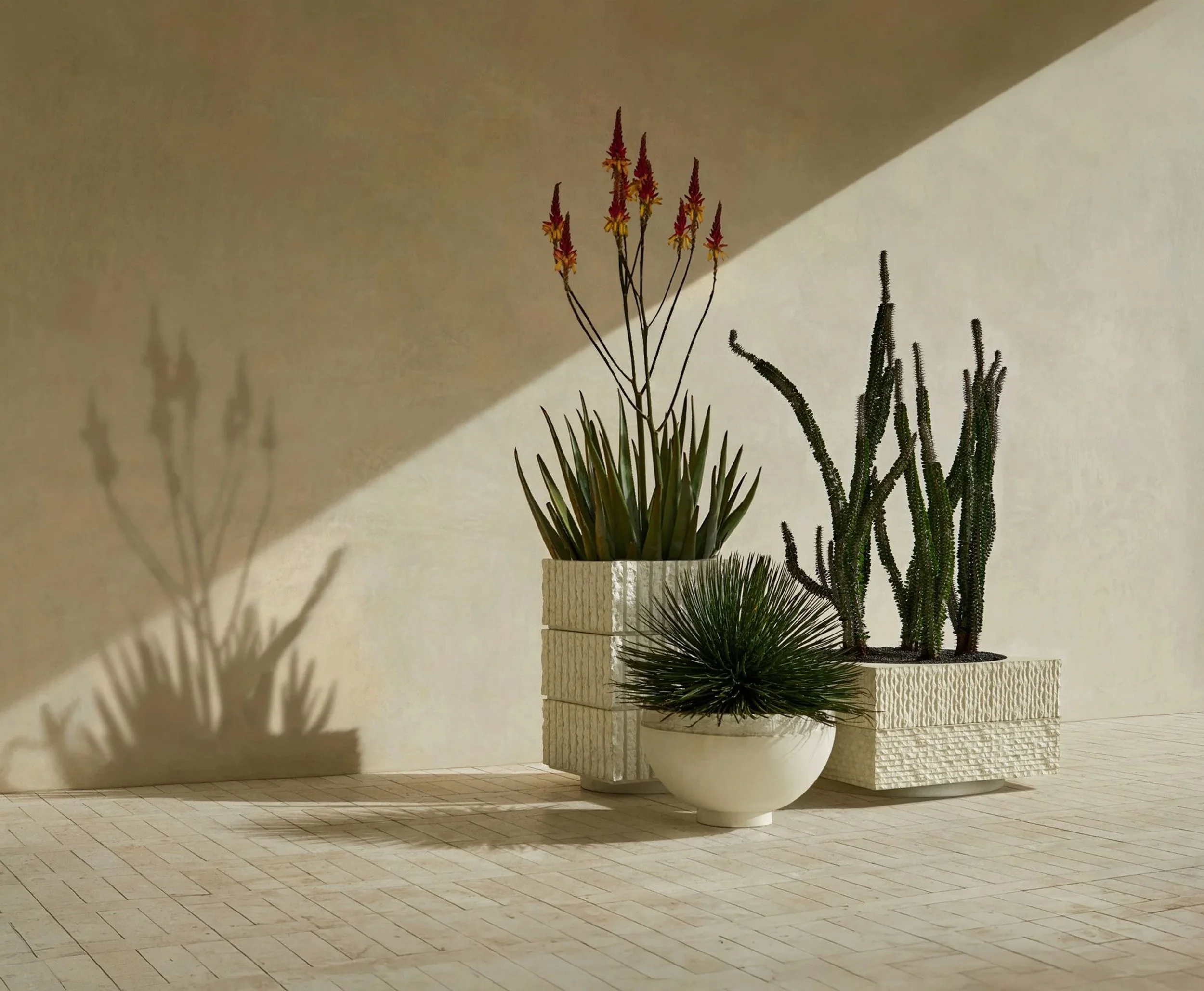 A white brick wall and light-colored tiled floor with a large potted plant and several smaller plants casting shadows on the wall.