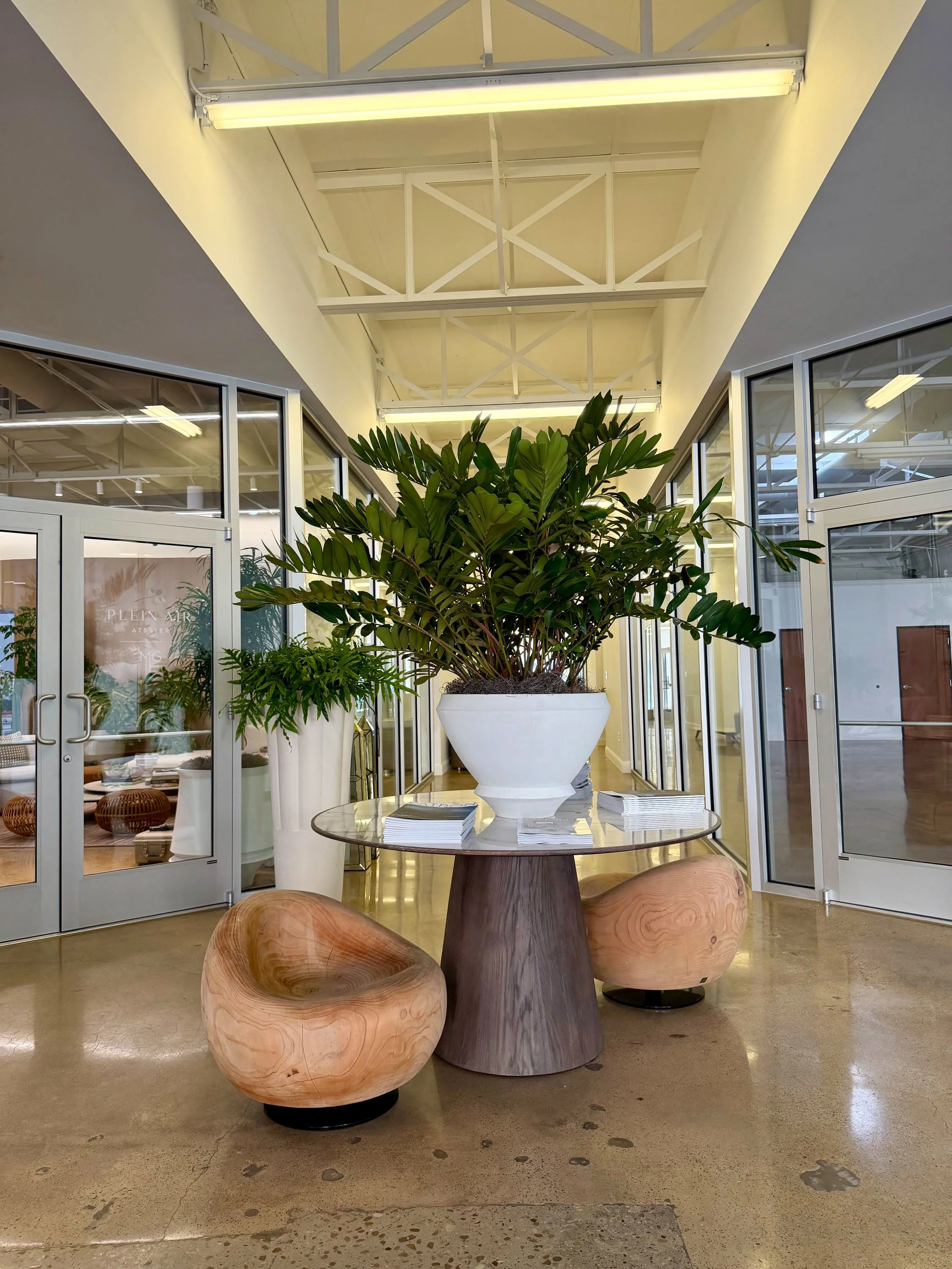 Indoor space with large potted plant on a white round table, surrounded by wooden chairs, with glass walls and ceiling illuminated with fluorescent lights.