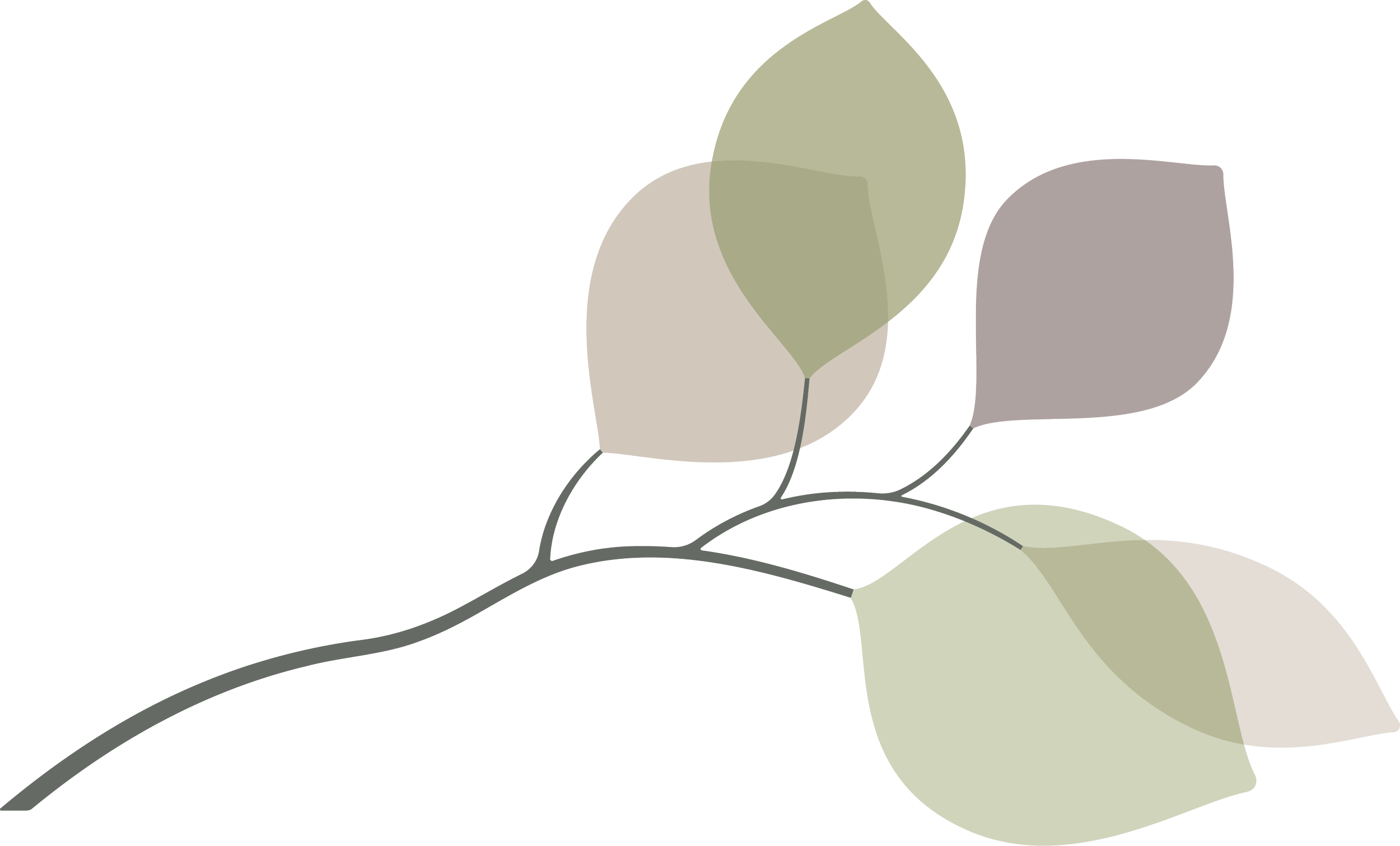 Close-up of a tree branch with several green and beige leaves