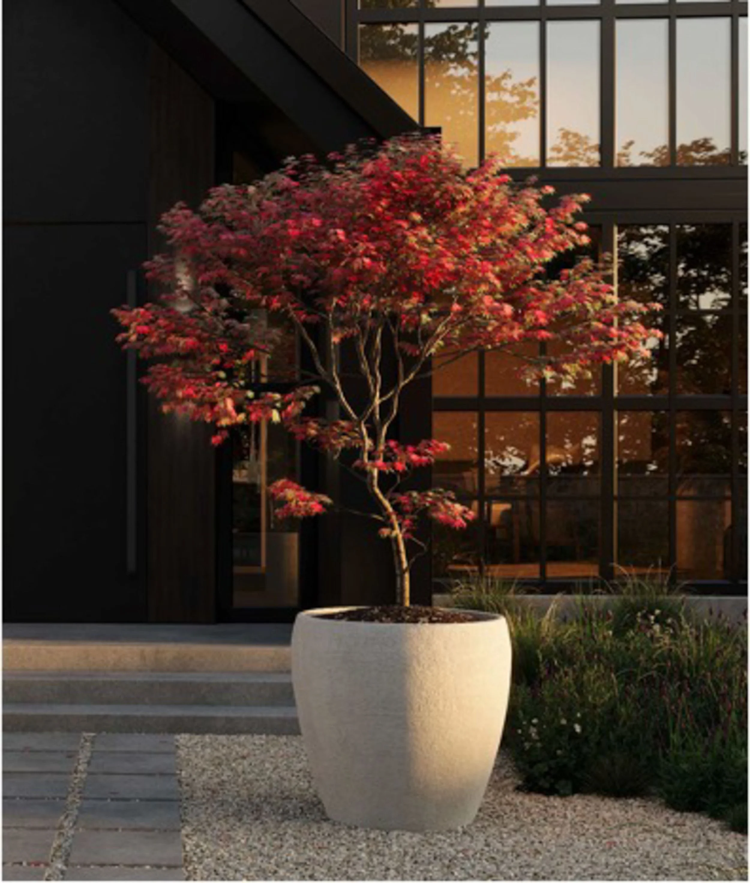 A large white cylindrical planter with a small tree having red and green leaves, situated outside a modern building with large glass windows reflecting trees during sunset.