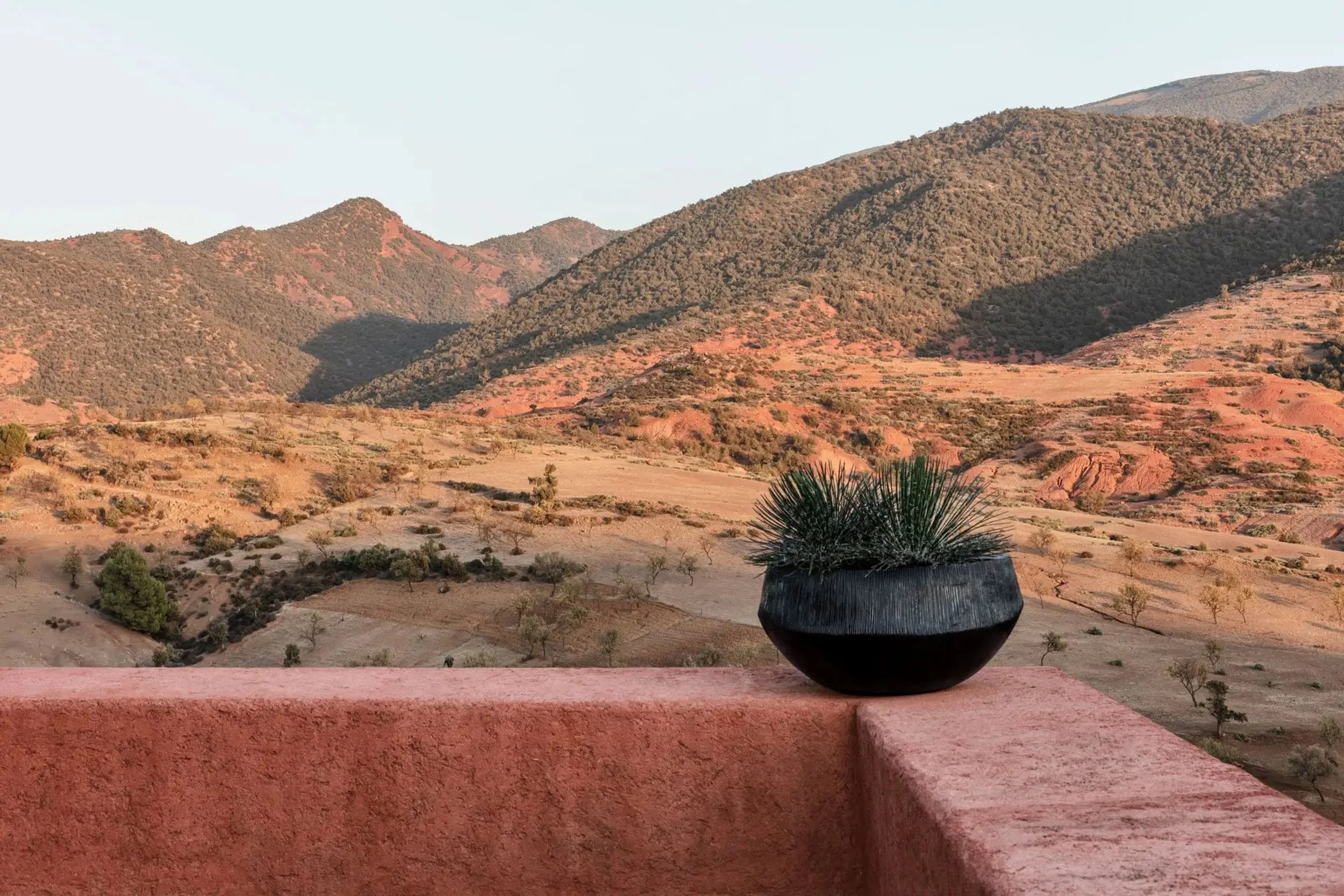 Desert landscape with rolling hills, sparse vegetation, and a large pottery pot with a desert shrub in the foreground.
