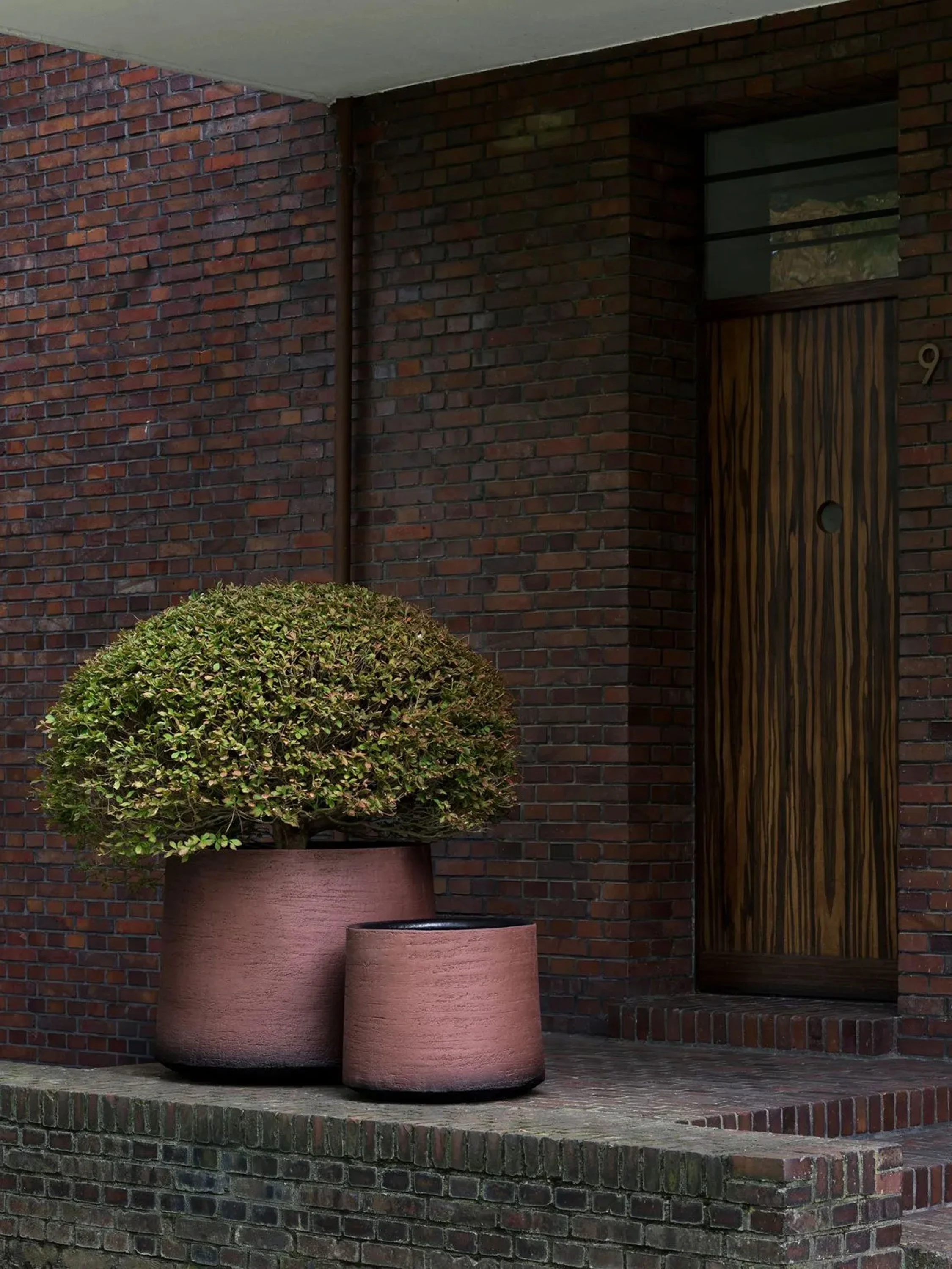 A potted bush with green leaves in a large pinkish-red planter, positioned on a brick platform outside a building with red brick walls, a wooden door, and a window.