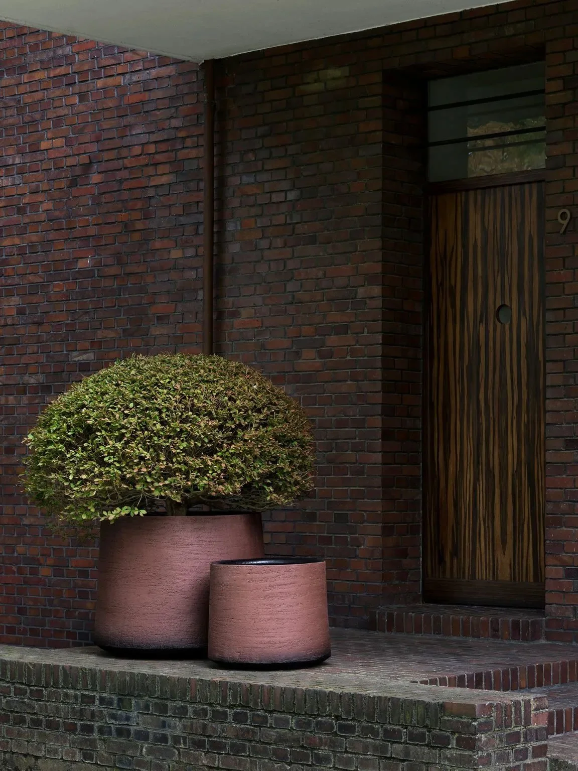 A potted bush on a brick porch in front of a brick house with a wooden door.
