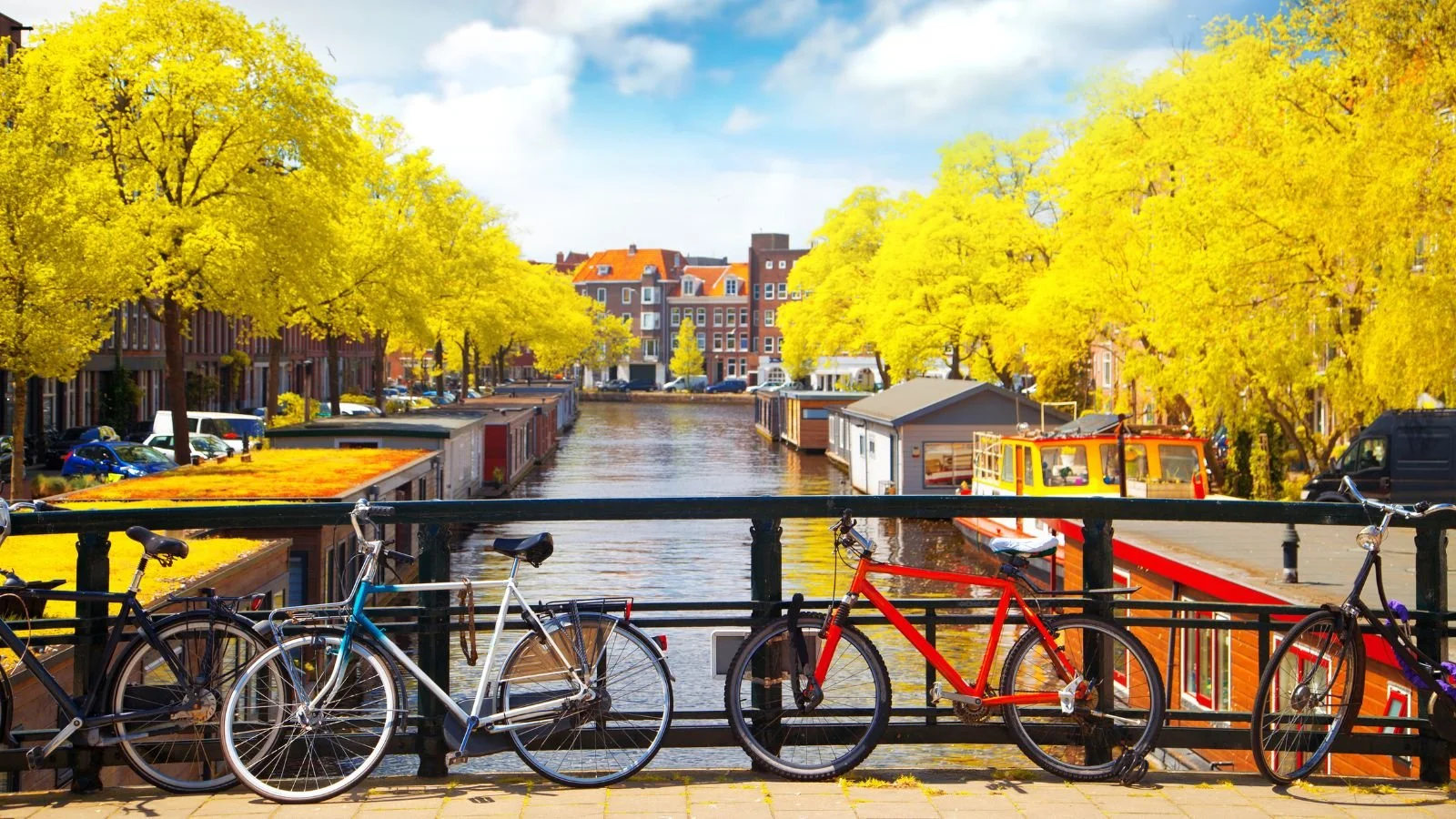 Canal lined with bicycles and yellow autumn trees in Amsterdam.
