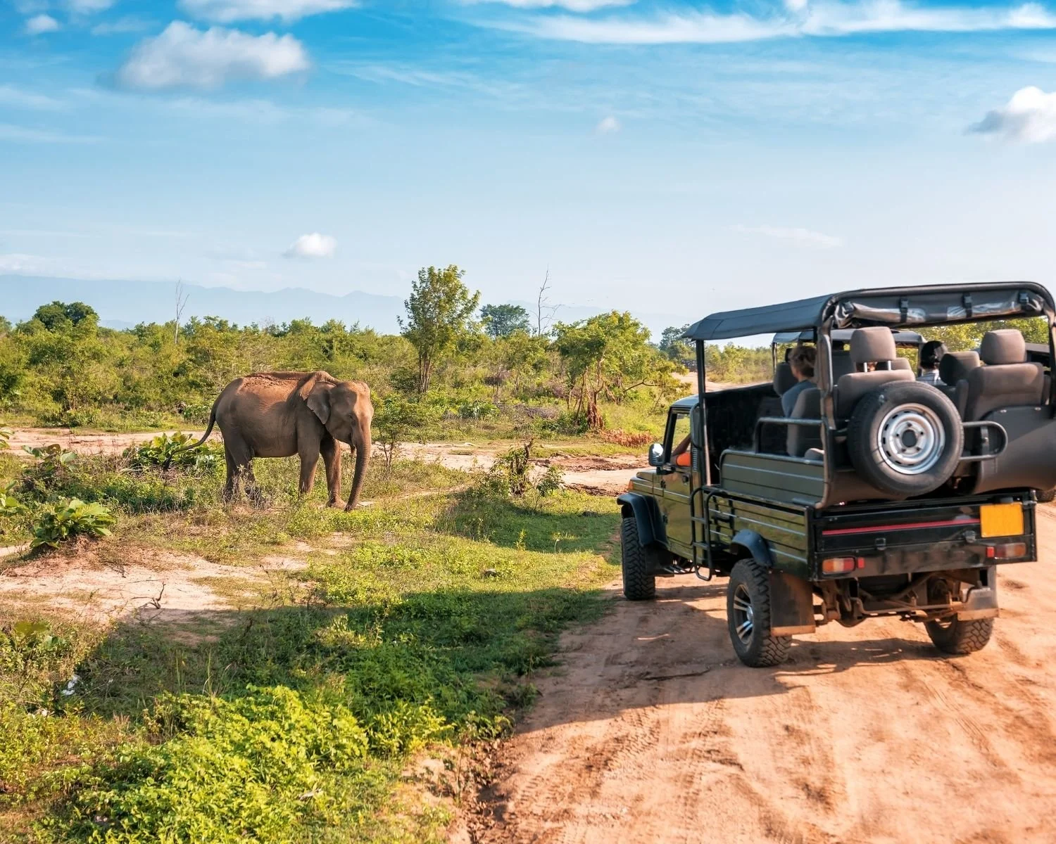 A safari truck in Africa stopped to view an elephant with grasslands behind it.