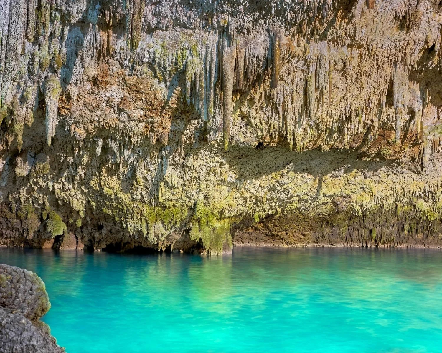 Crystal-clear cenote surrounded by limestone cliffs in Mexico