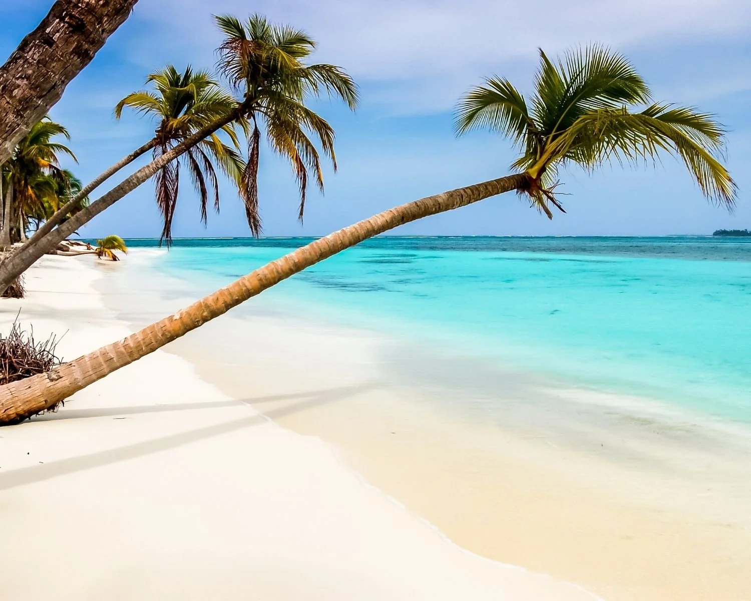 Palm trees over a white sand Caribbean beach with turquoise water