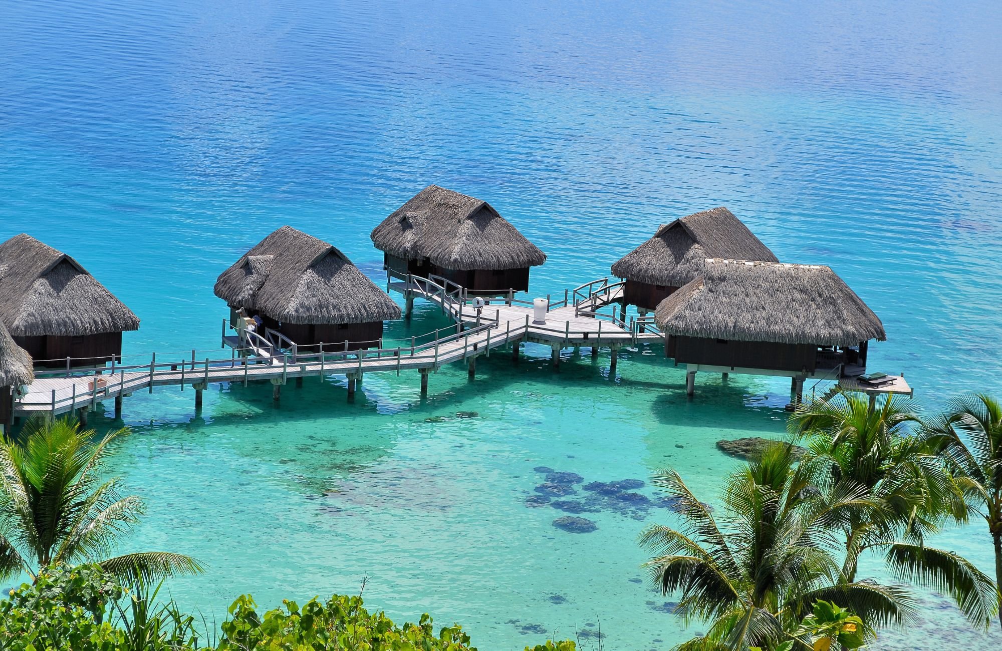 Several overwater bungalows perched above beautiful turquoise waters and palm trees nearby to show the tropical location.