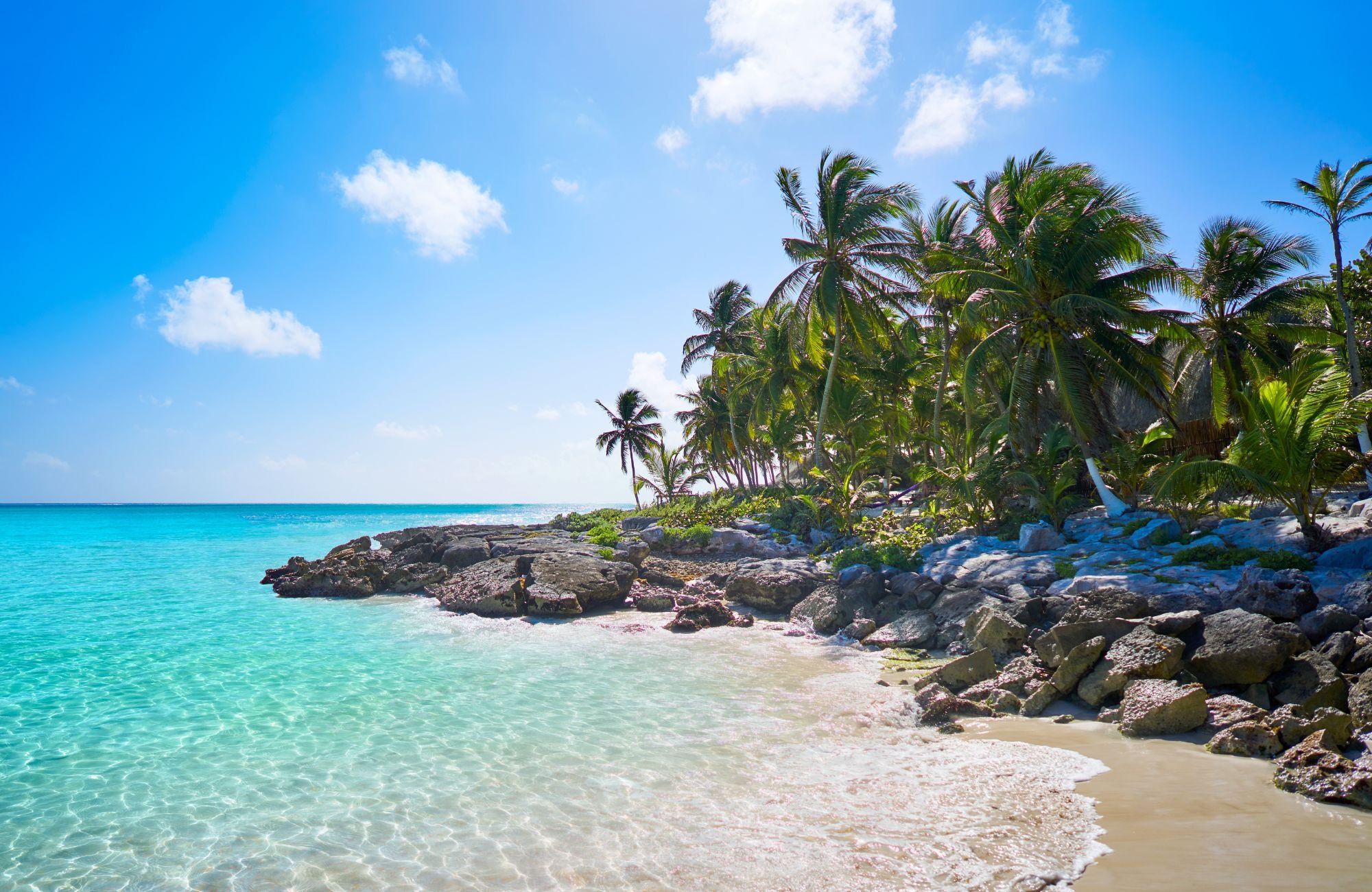 A rocky Caribbean coastline with palm trees, a blue sky and clear blue water.
