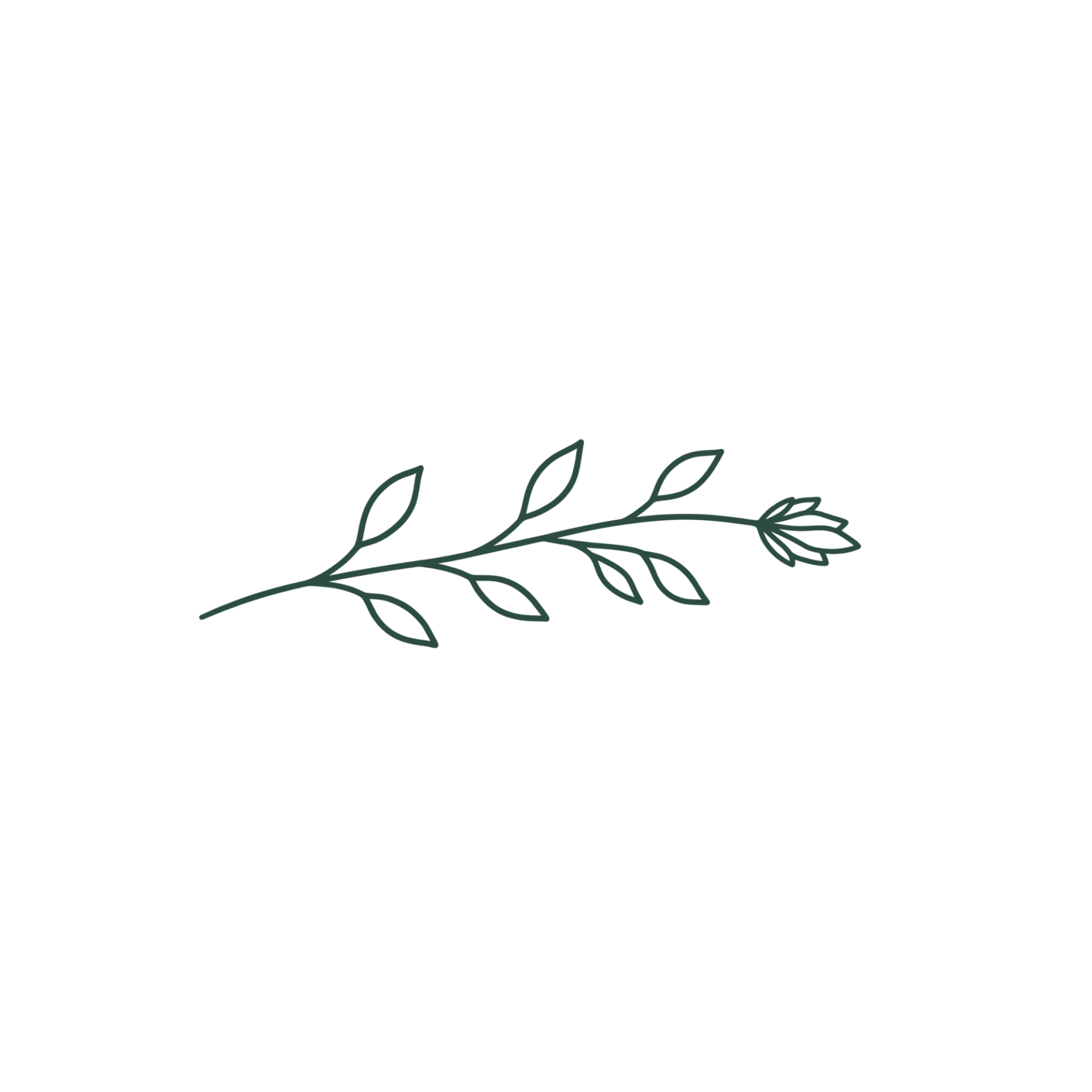 Decorative botanical illustration