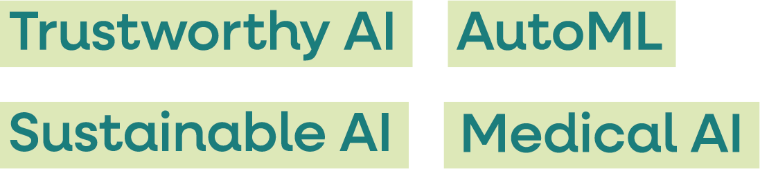 keyword cloud: trustworthy ai, automl, sustainable ai, medical ai
