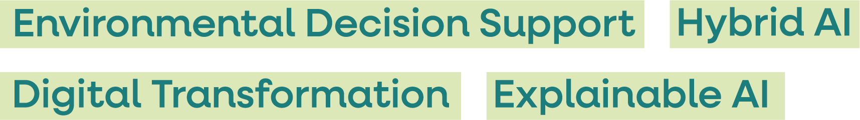 keyword cloud: environmental decision support, hybrid ai, digital transformation, explainable ai