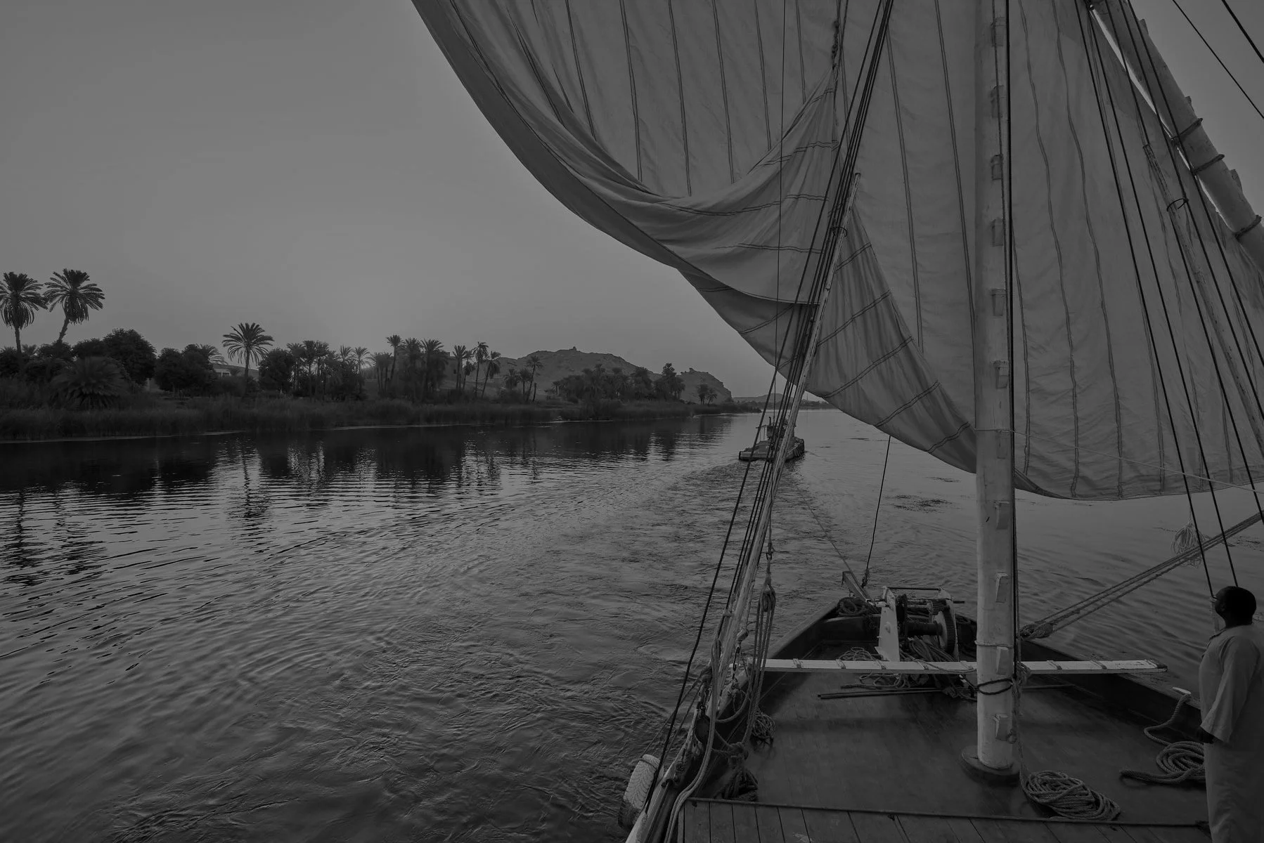 8 felucca.jpg