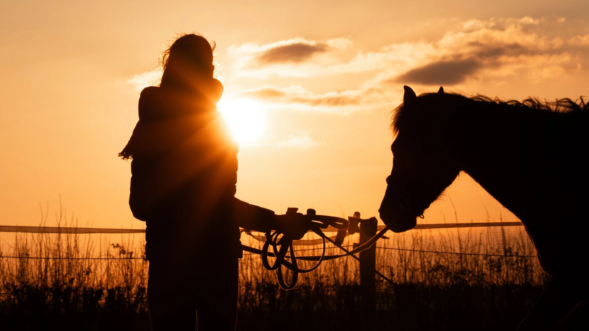 Silhouette d'une personne avec un cheval au coucher du soleil.