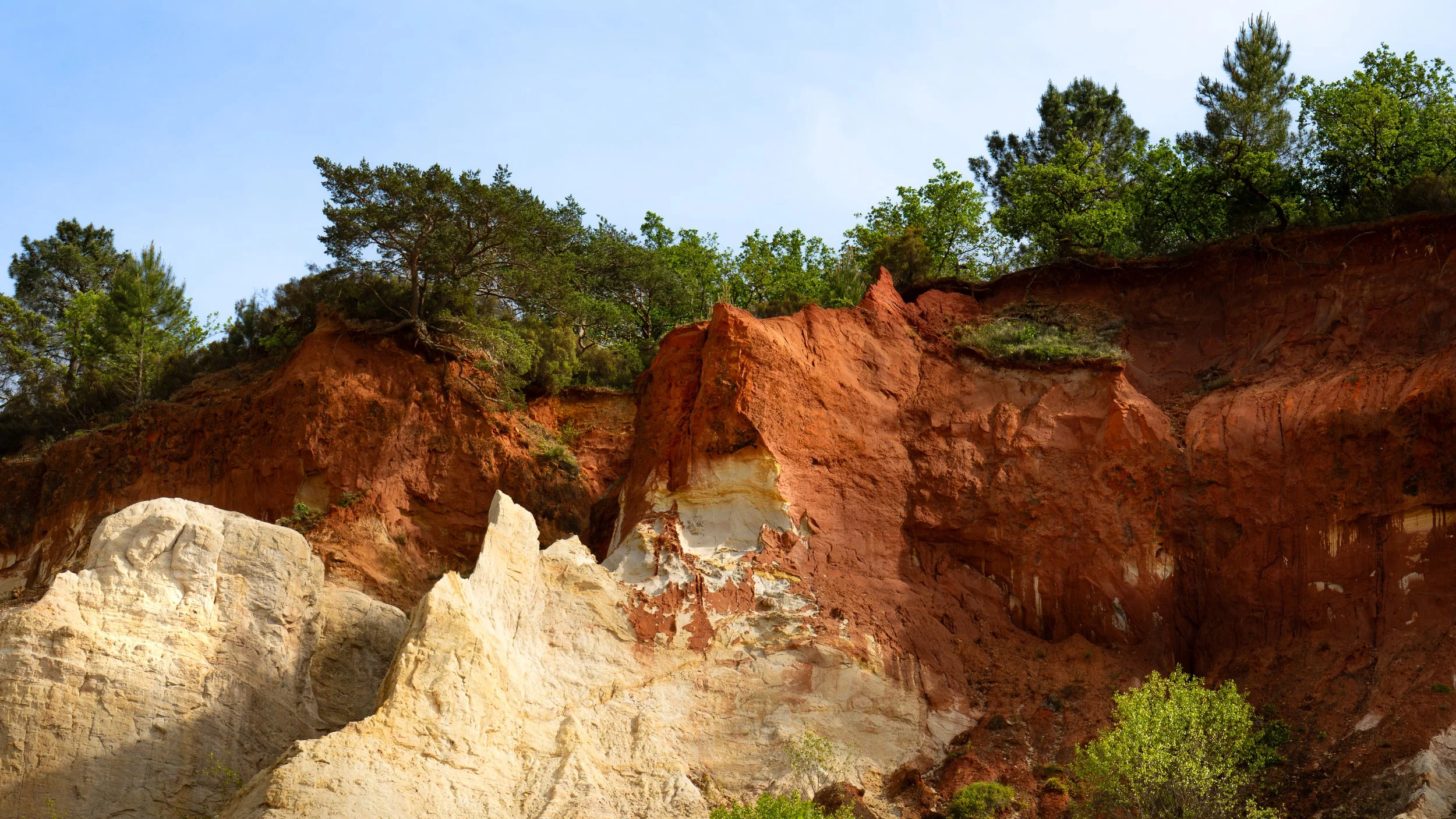Falaises de couleur rouge, blanche et beige avec des arbres verts au sommet et au bas de la falaise, sous un ciel clair.