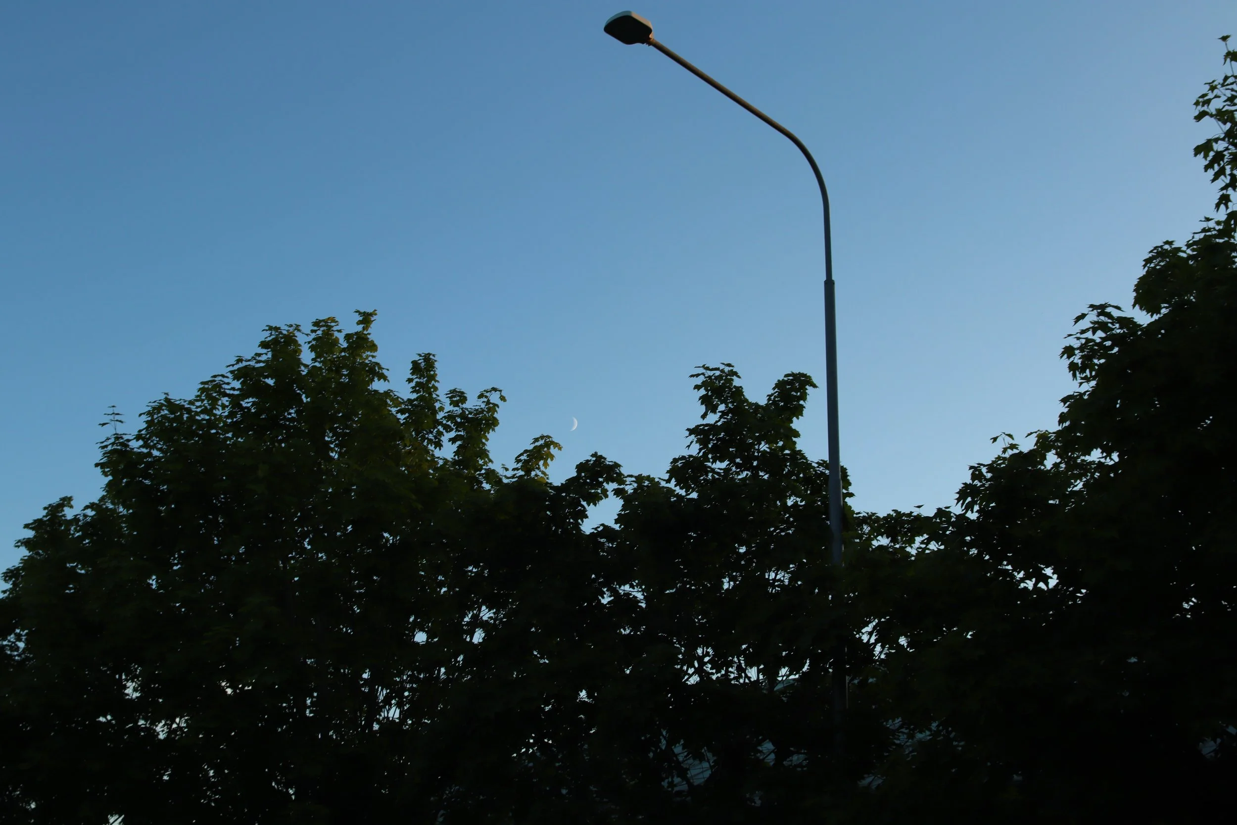 Clear evening sky with a thin crescent moon visible above tree tops, and a streetlamp extending into the sky.